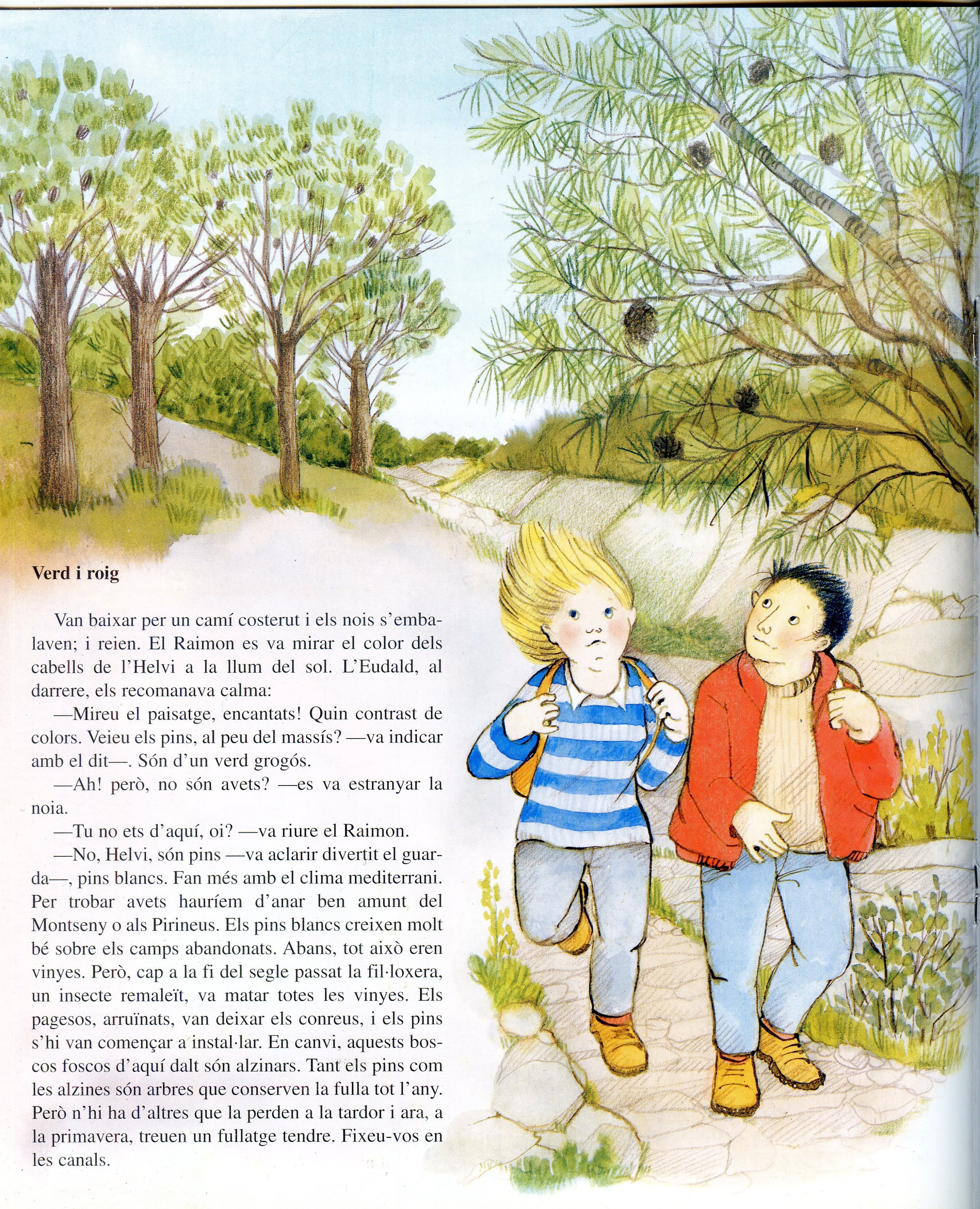 Així és el Parc Natural de Sant Llorenç del Munt i l'Obac - Miniatura 2