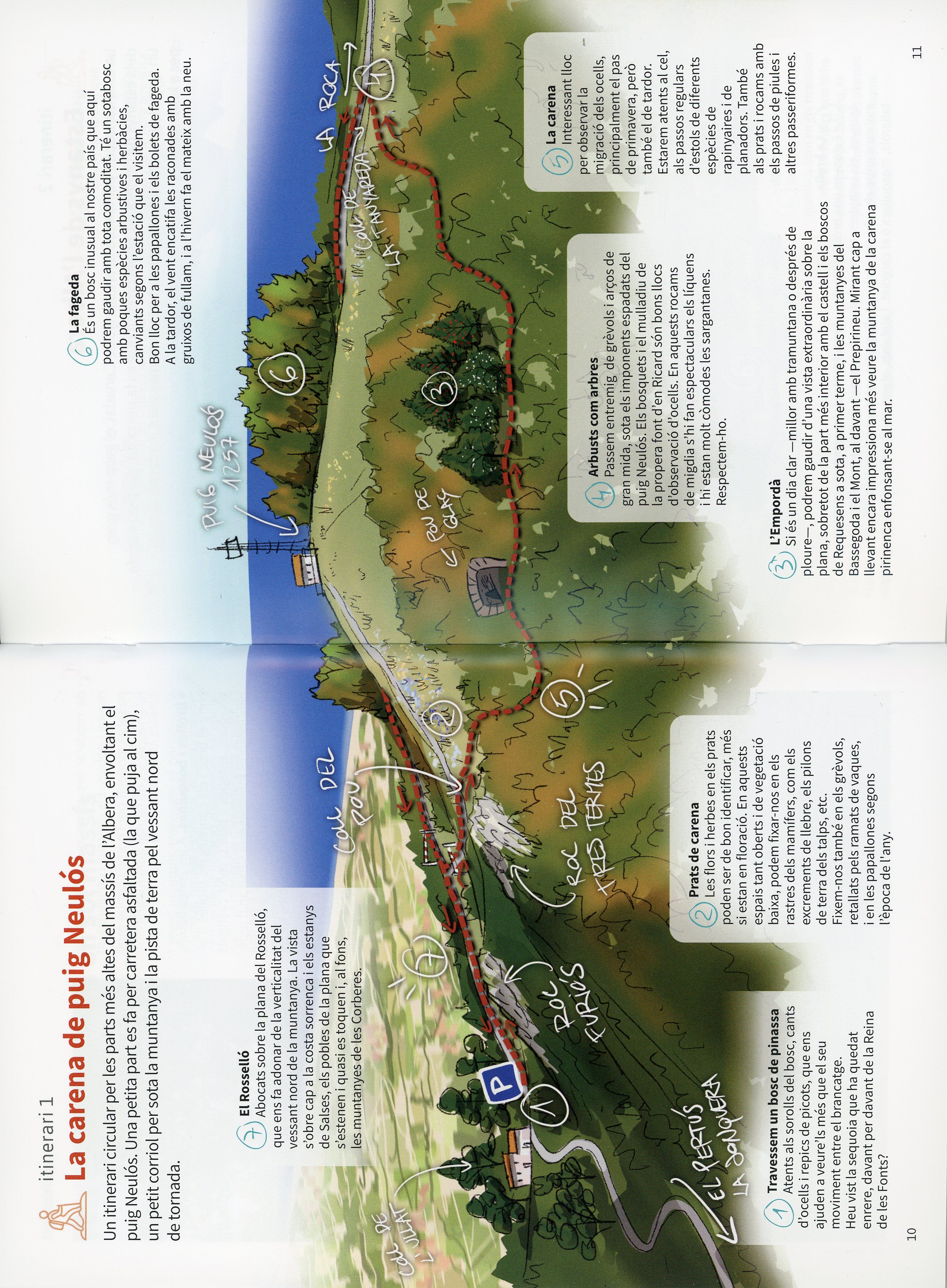 Espai natural : L'Albera - Miniatura 4