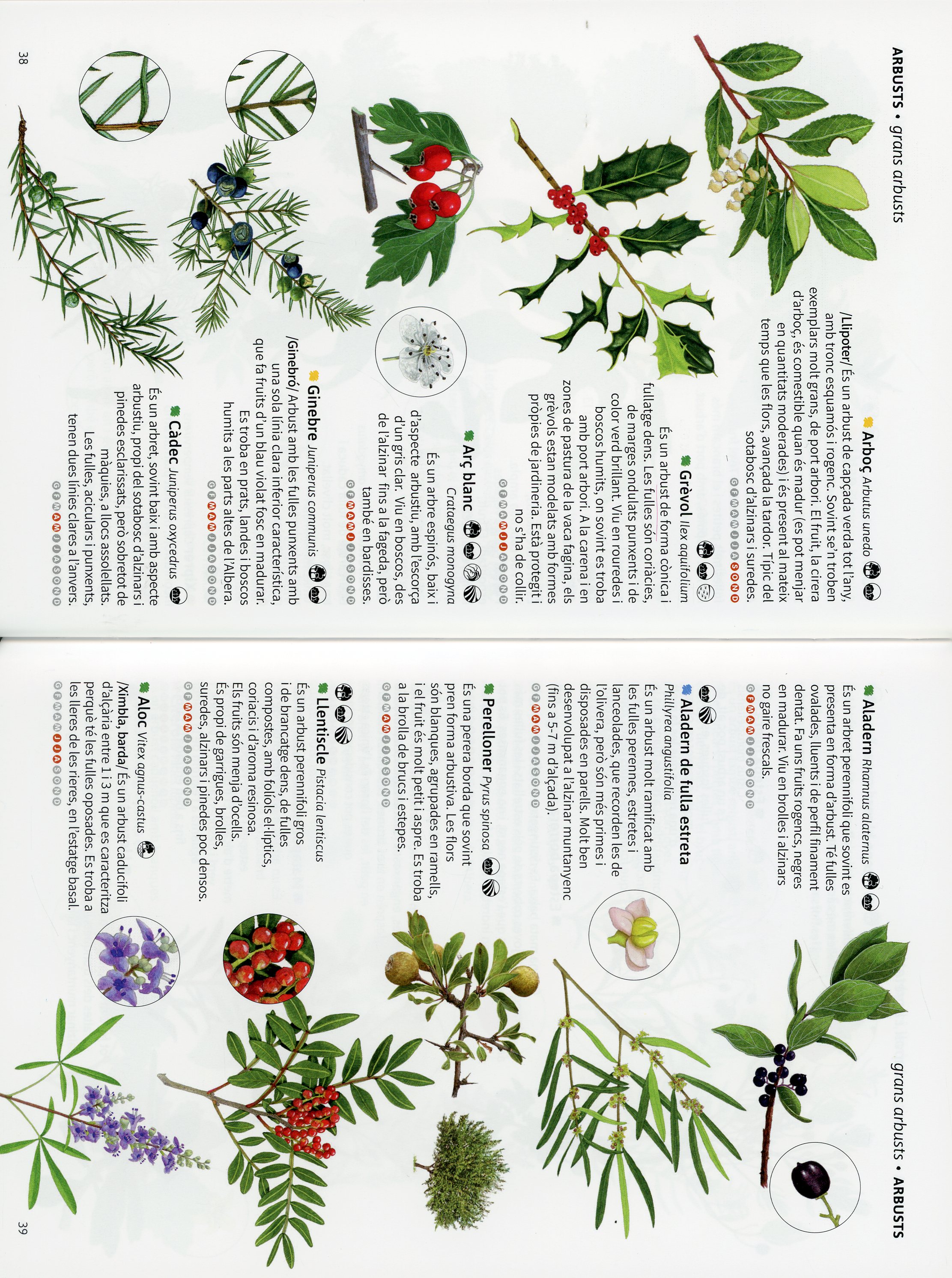 Espai natural : L'Albera - Miniatura 5