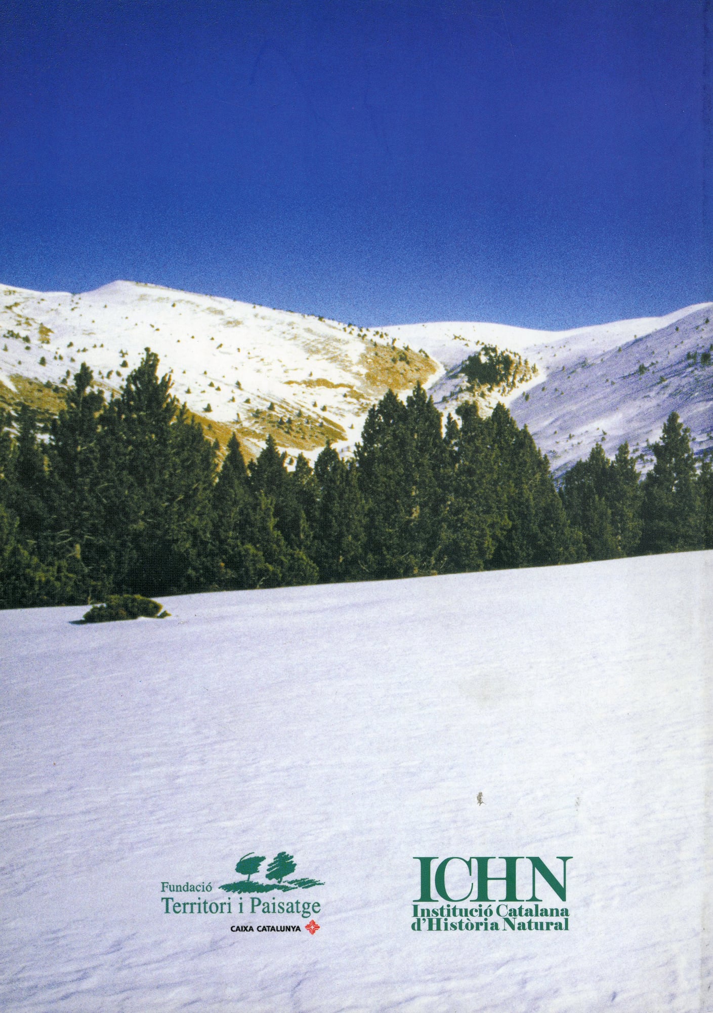 sistemes naturals de la Vall d'Alinyà, Els - Miniatura 10