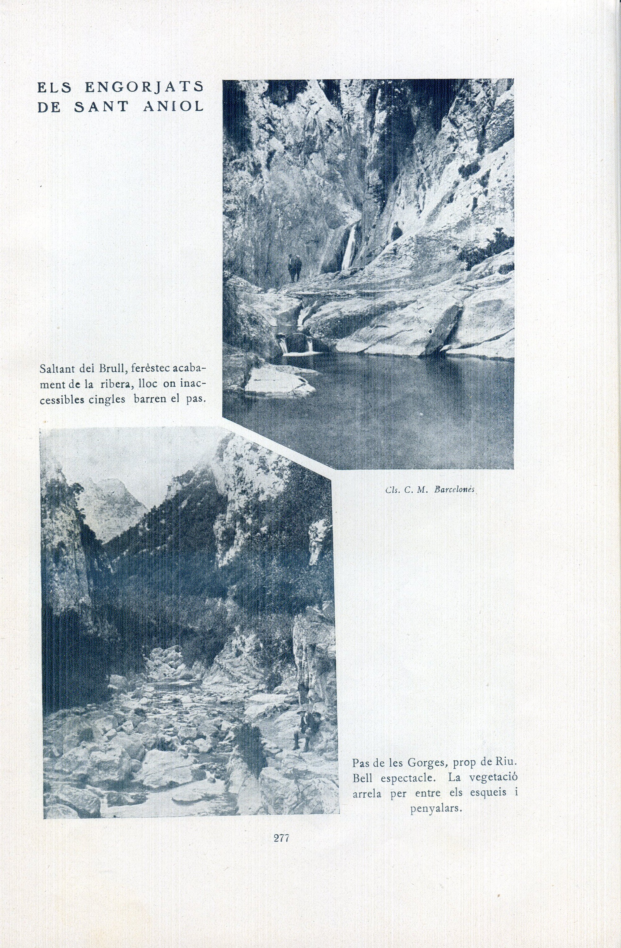 Alta Garrotxa i Comarca de BanyolesT - Miniatura 2