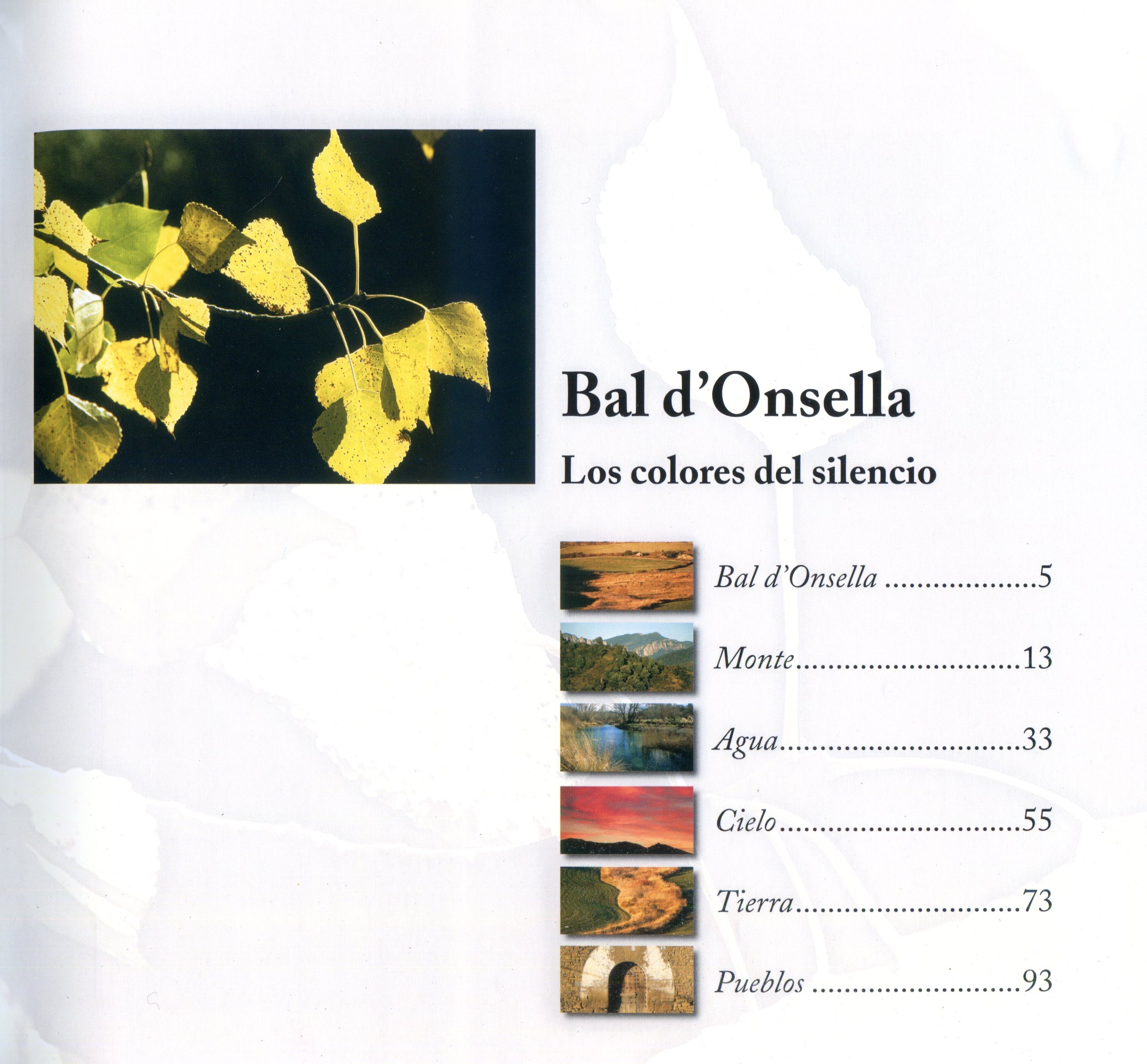 Bal d'Onsella : Los colores del silencio - Miniatura 2