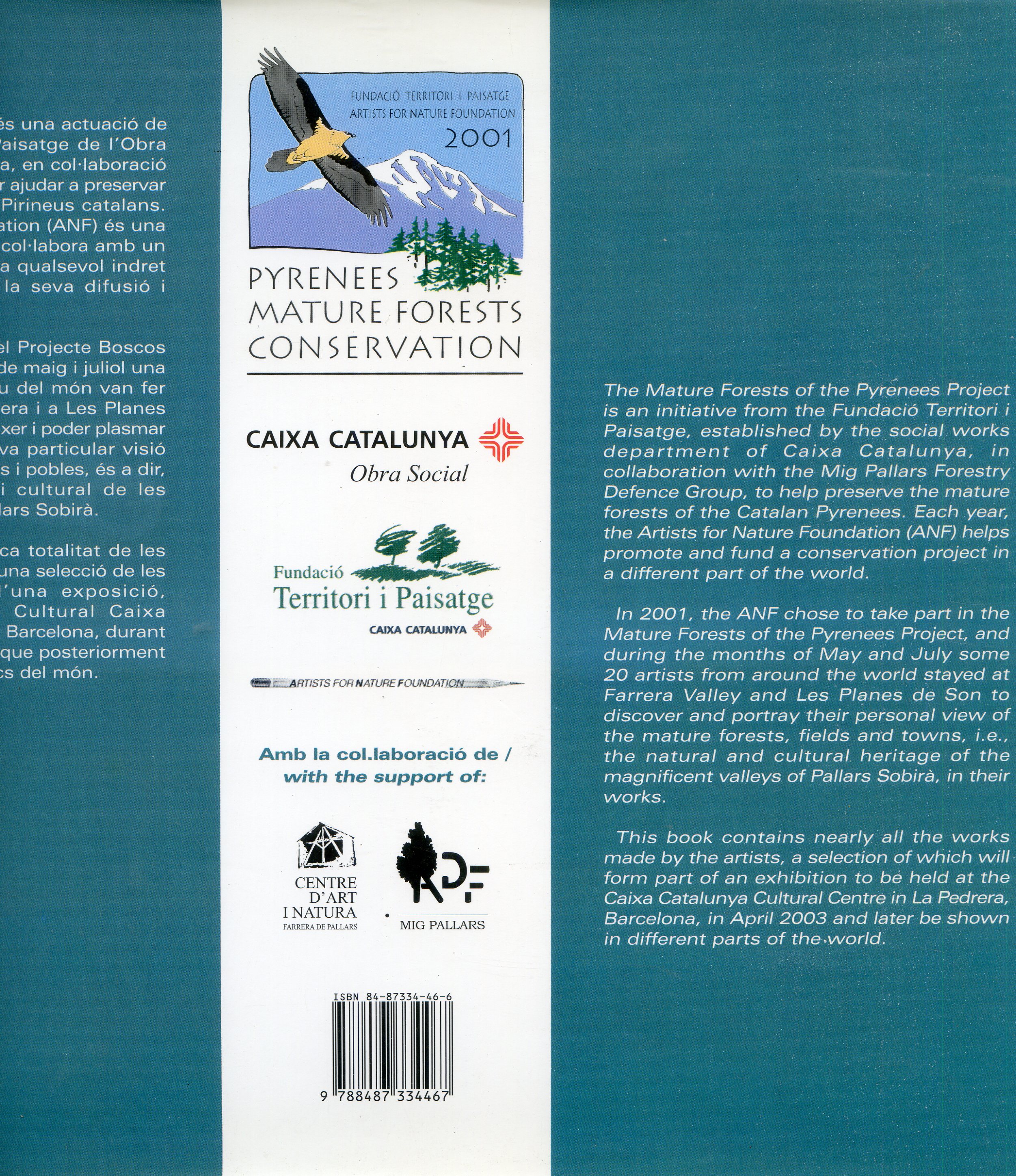Boscos vells : Artists for Nature als Pirienus Catalans : Mature forests : Artists for Nature in the Catalan Pyrenees - Miniatura 2
