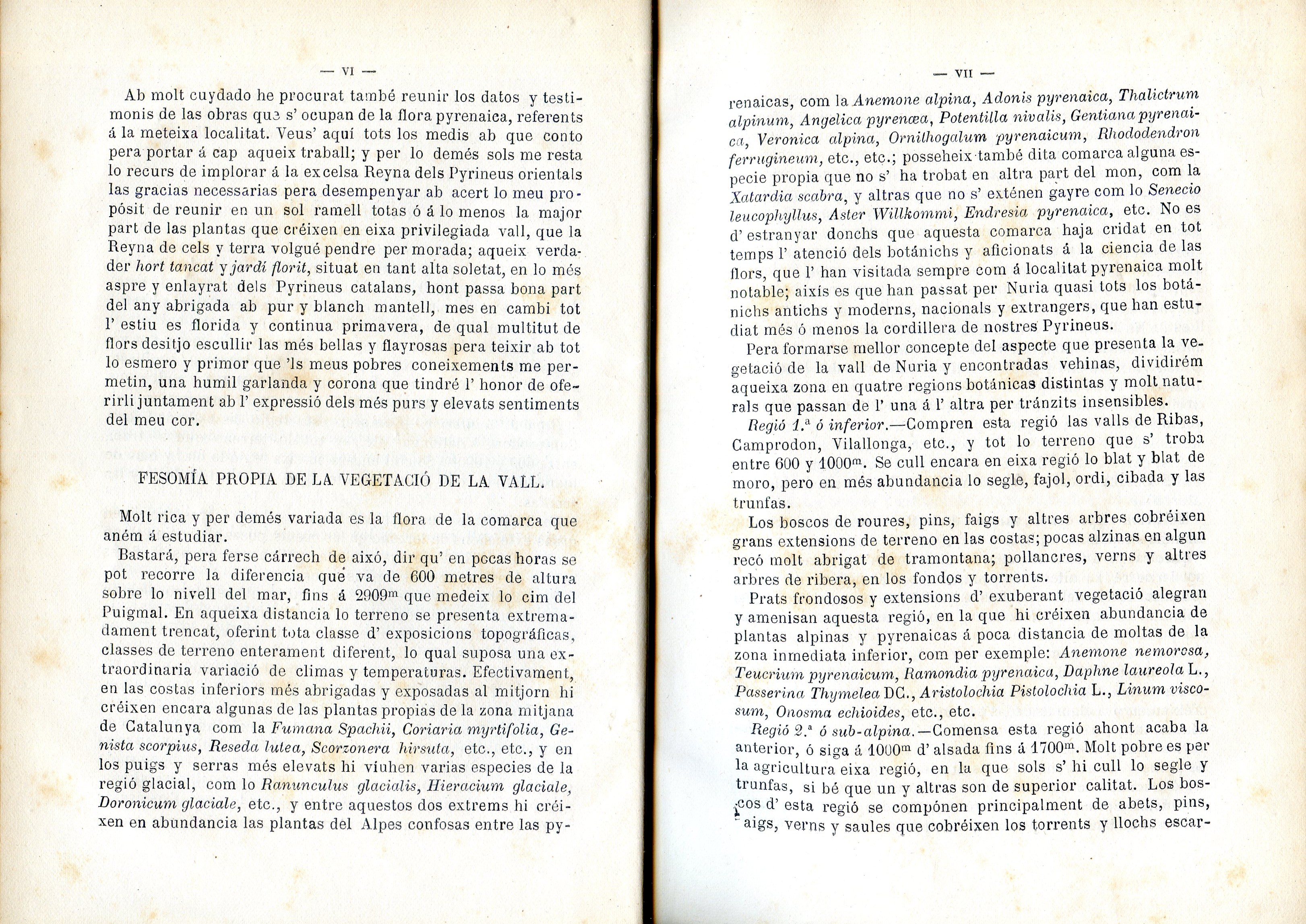 Catálech de la flora de la vall de Núria - Miniatura 4