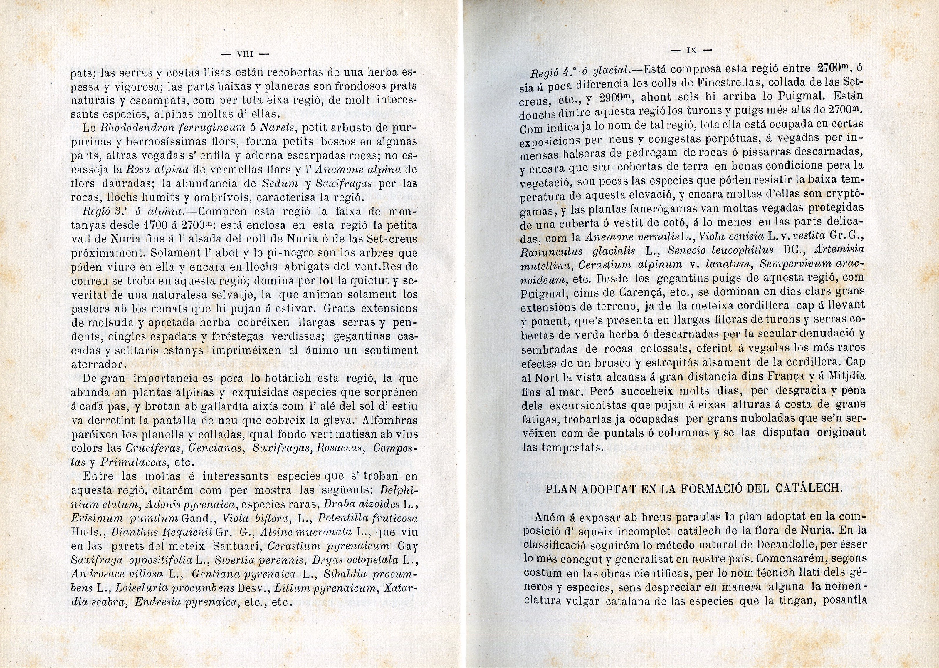 Catálech de la flora de la vall de Núria - Miniatura 5