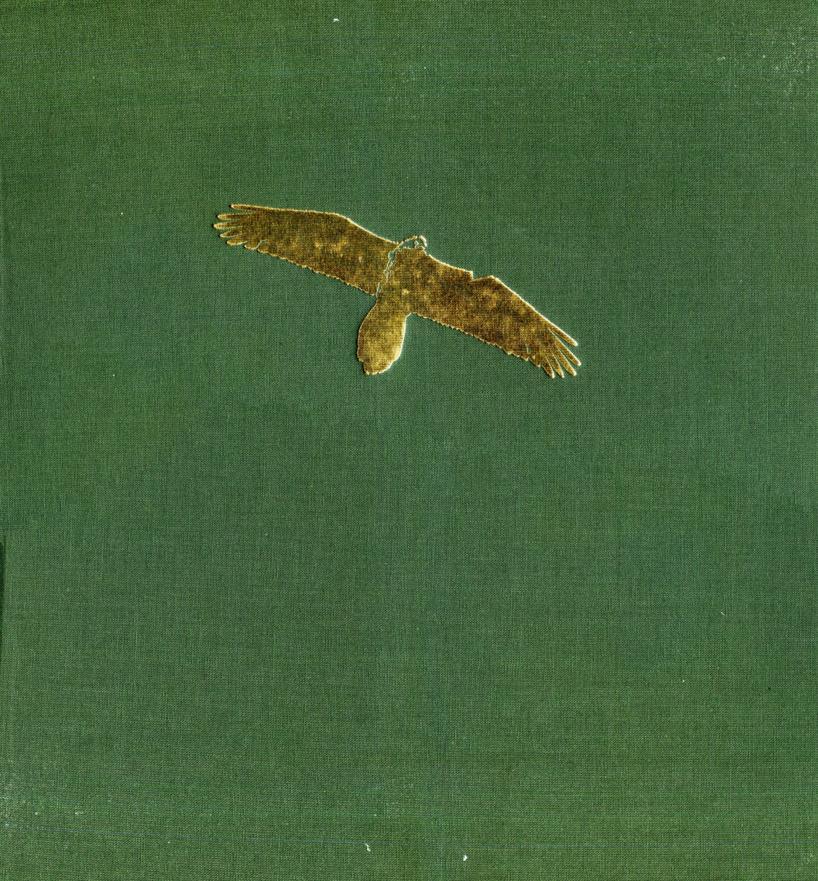 El Montseny - Miniatura 2