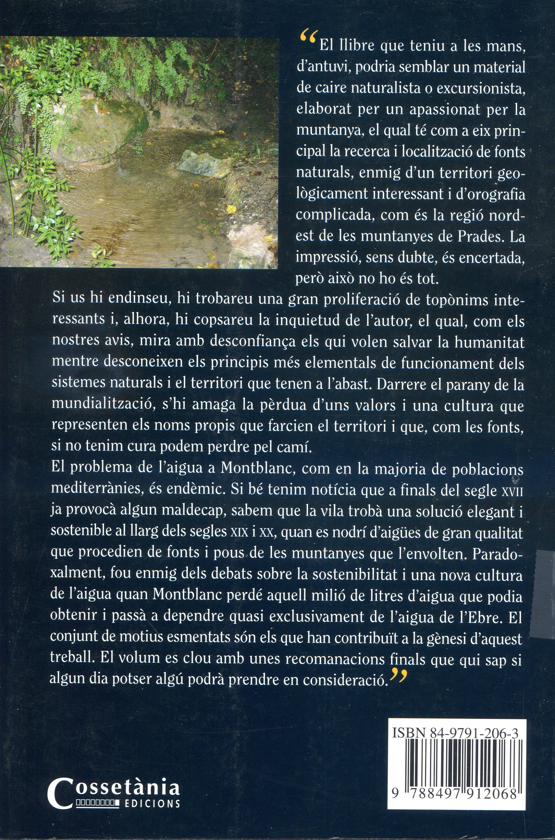 camins de l'aigua, Els : Fonts naturals i aigües al terme de Montblanc - Miniatura 4