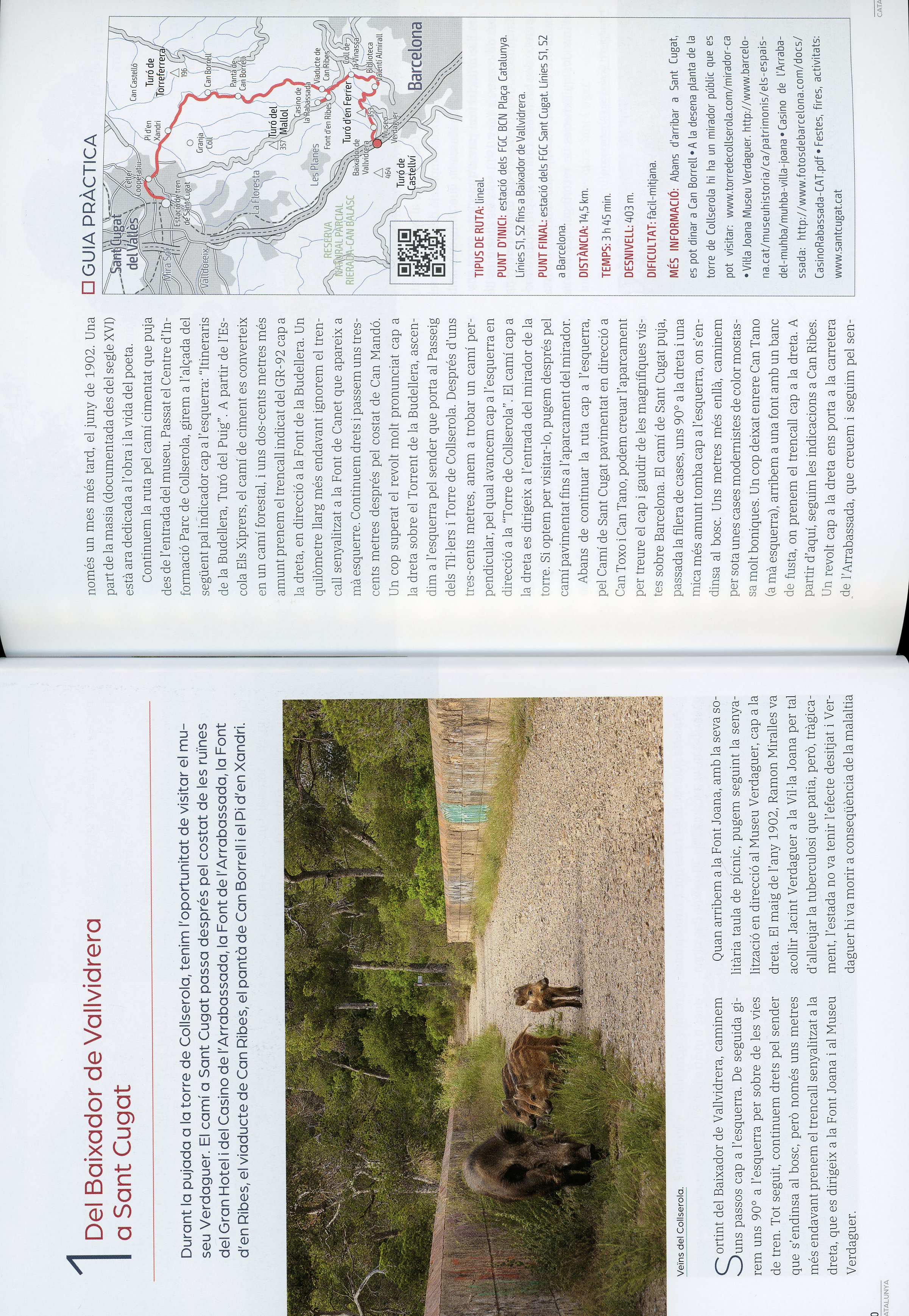 Escapades en tren molt a prop de Barcelona - Miniatura 3