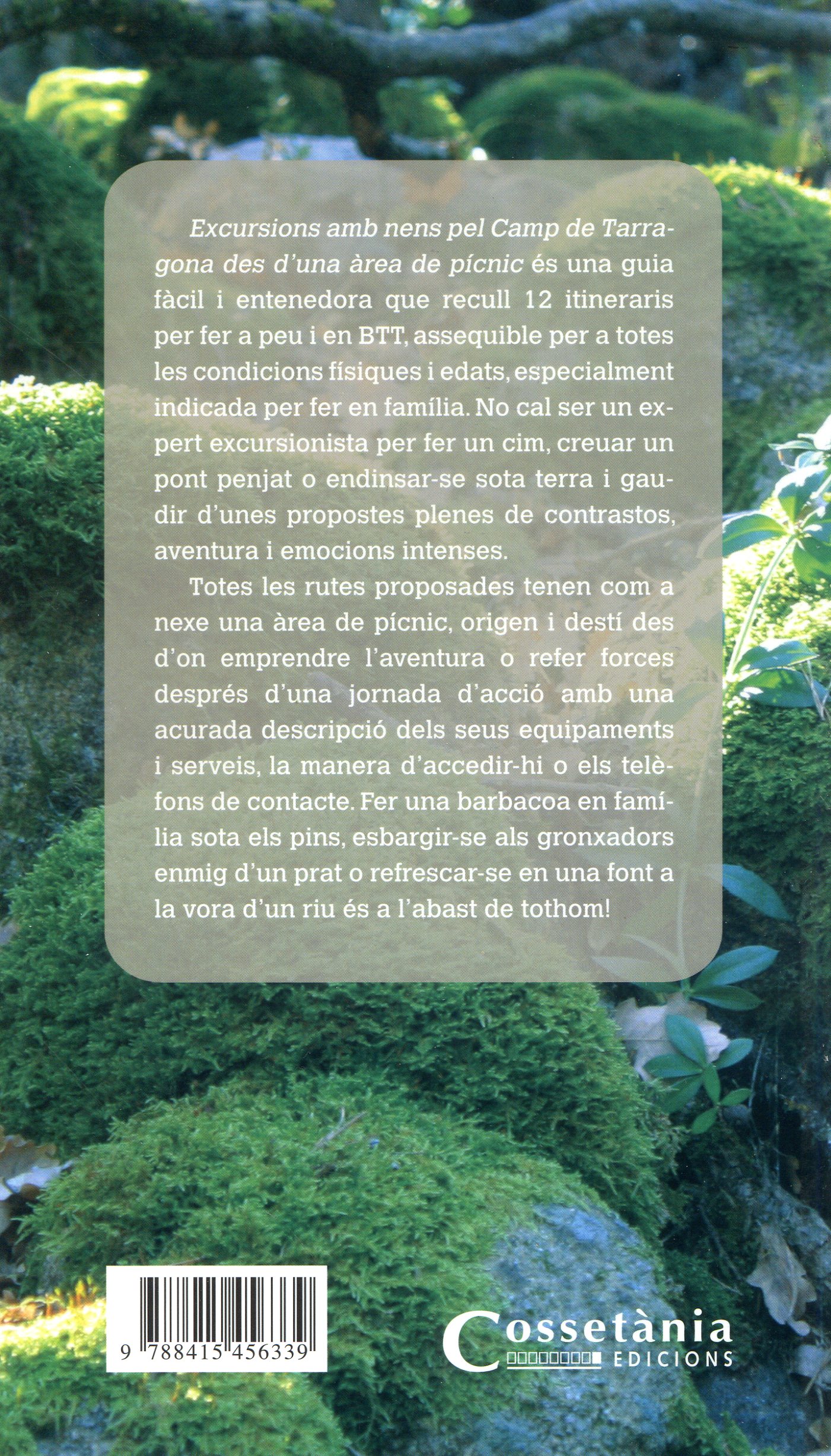 Excursions amb nens pel Camp de Tarragona des d'una àrea de picnic - Miniatura 4