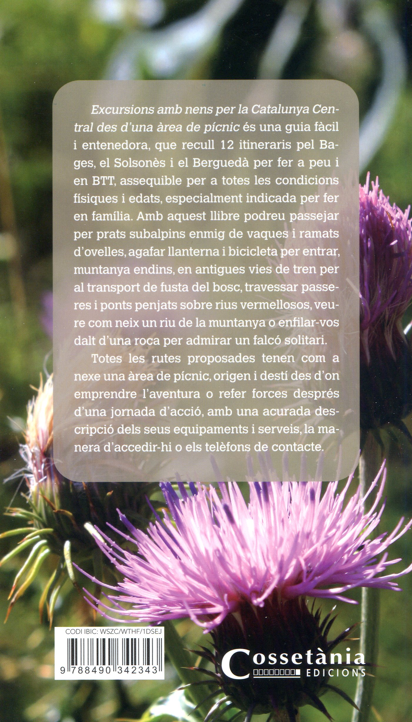 Excursions amb nens per la Catalunya Central des d'una àrea de picnic - Miniatura 4