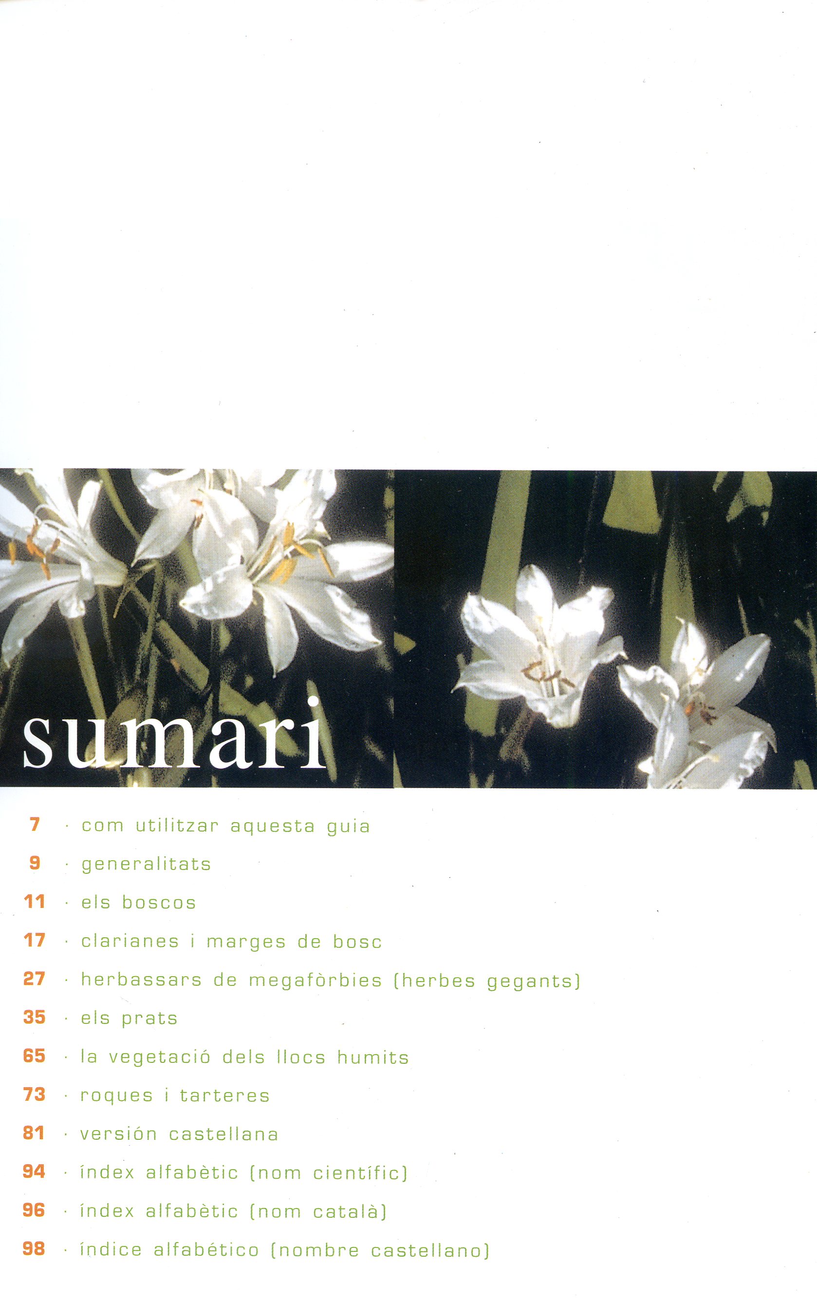 Flors de muntanya del Parc Nacional d'Aigüestortes i Estany de Sant Maurici - Miniatura 2