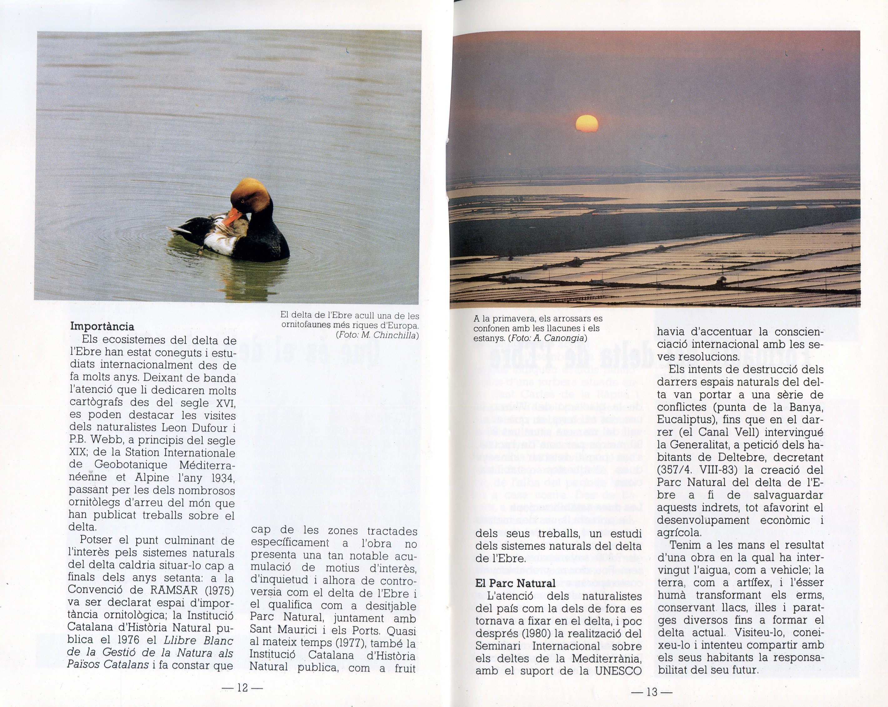 Guia del Delta de l'Ebre - Miniatura 3