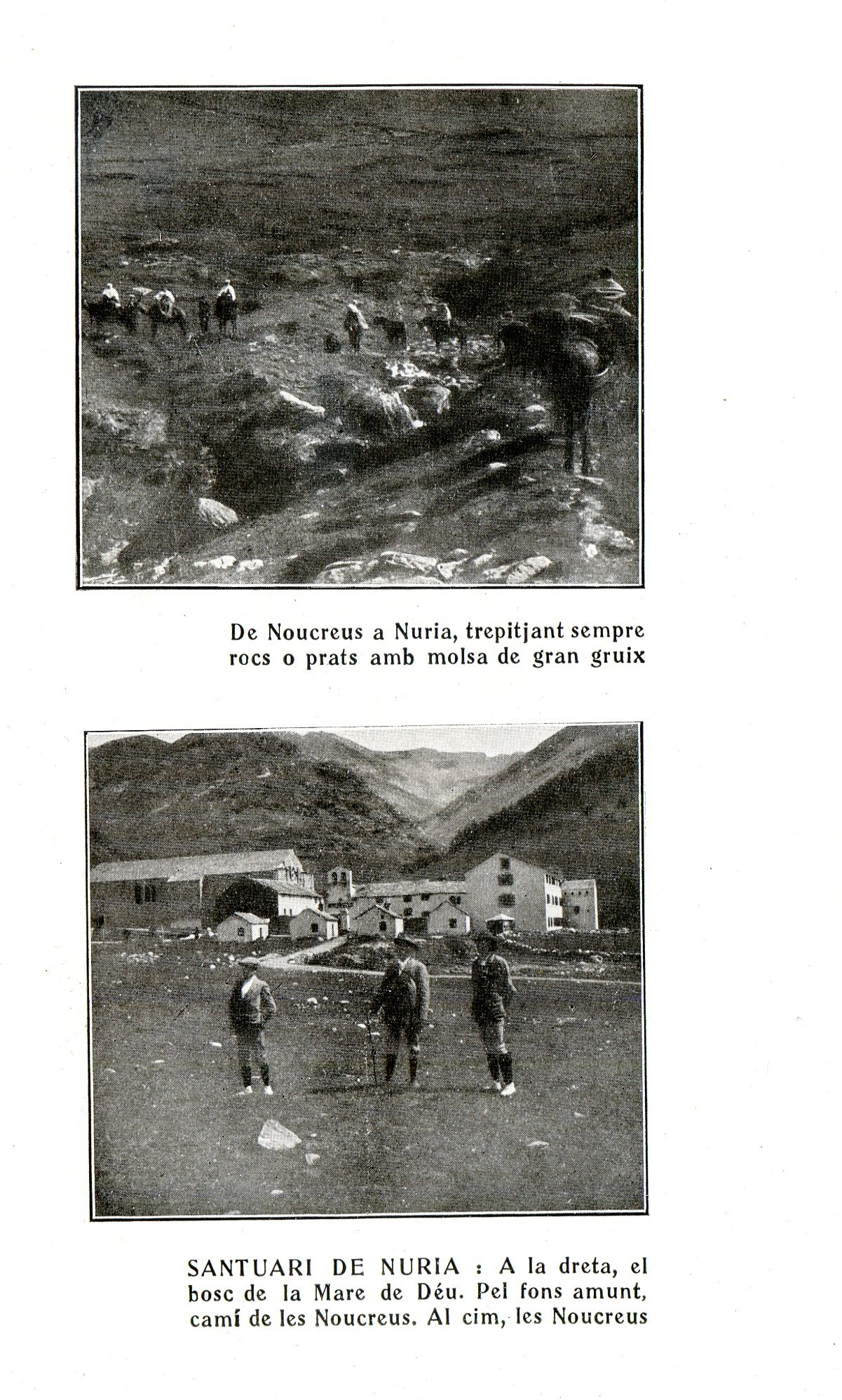 Excursió pirinenca : La cacera dels isarts - Miniatura 5