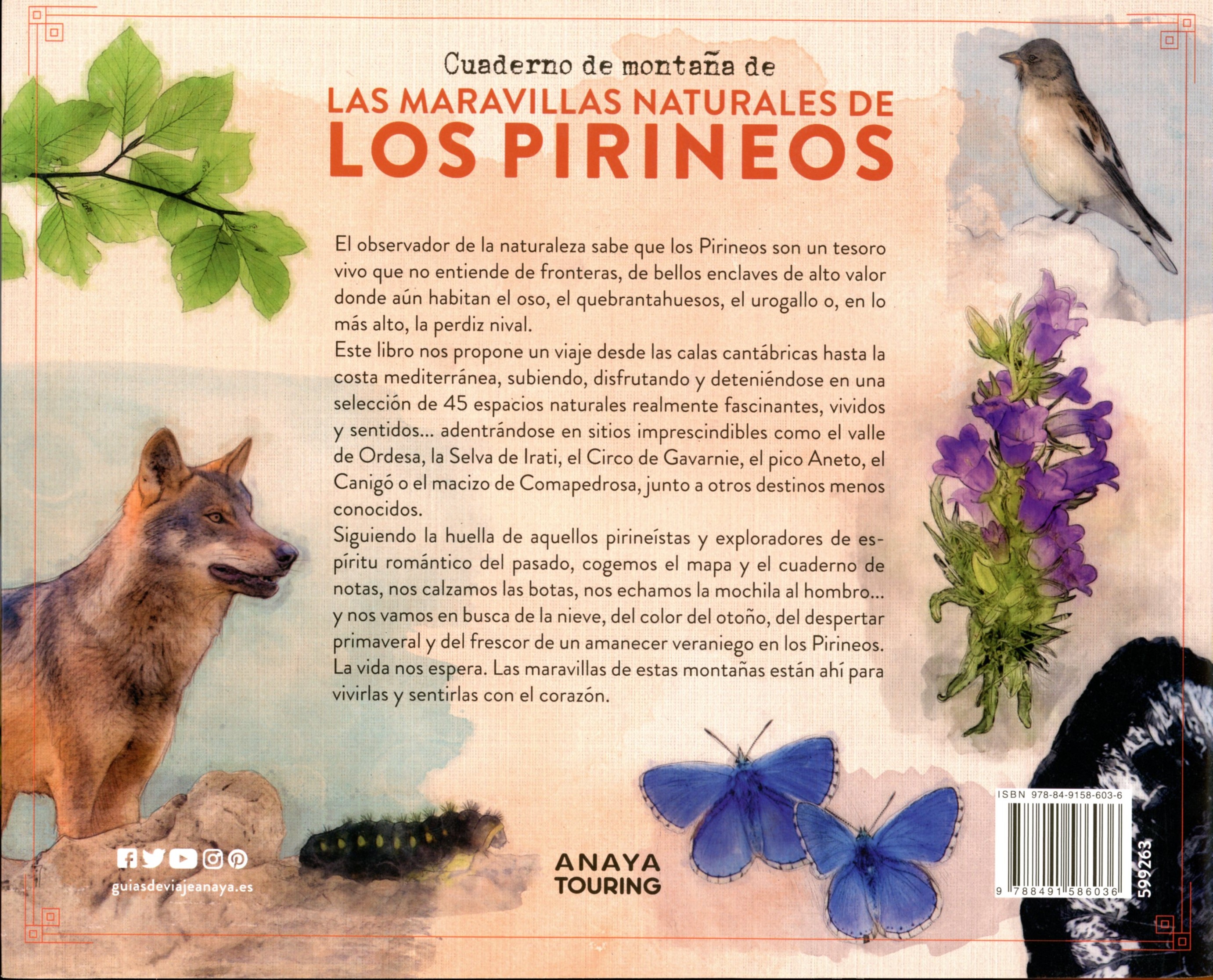 Cuaderno de montaña de : Las maravillas naturales de los Pirineos - Miniatura 4