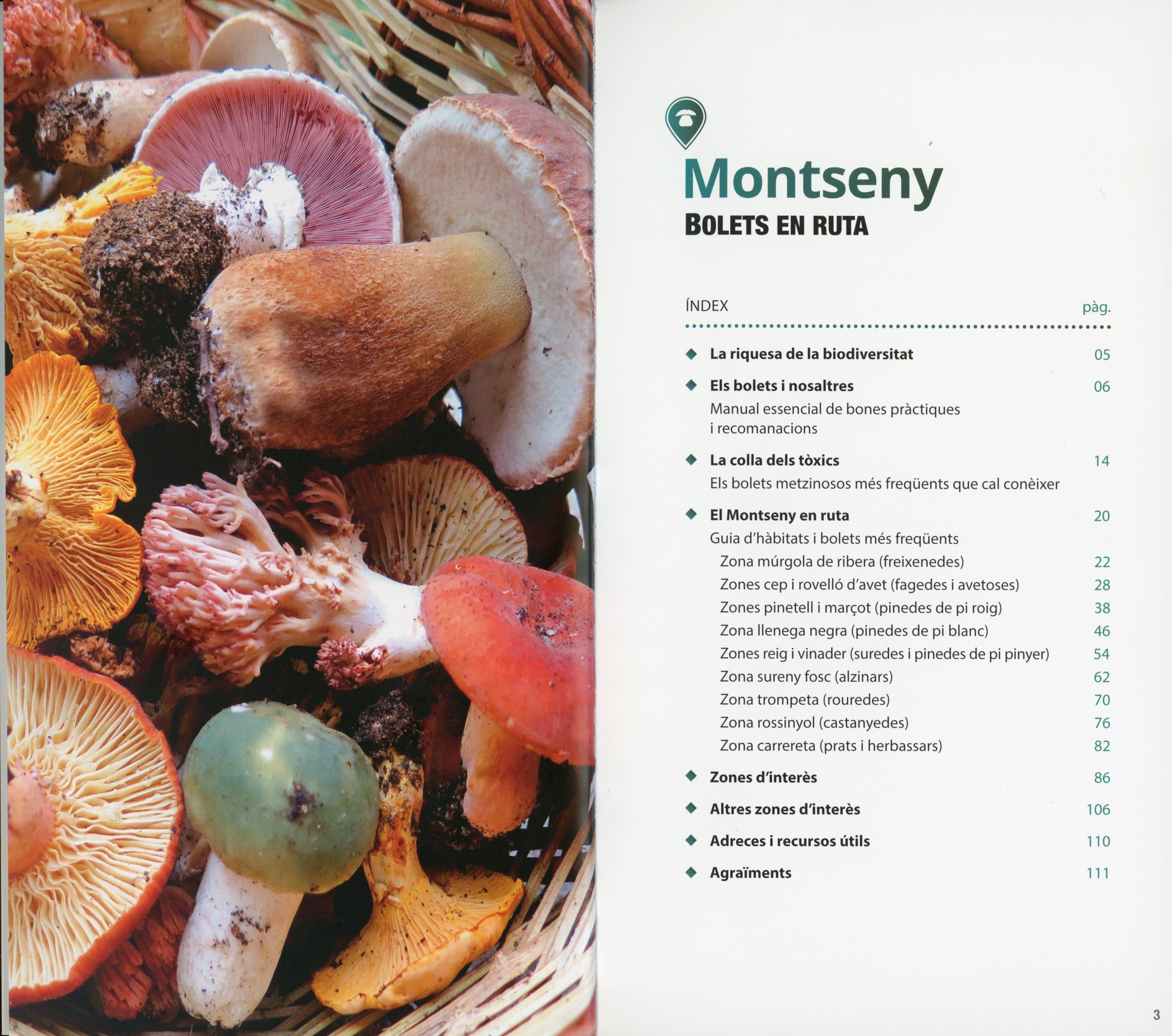 Montseny : Bolets en ruta - Miniatura 2