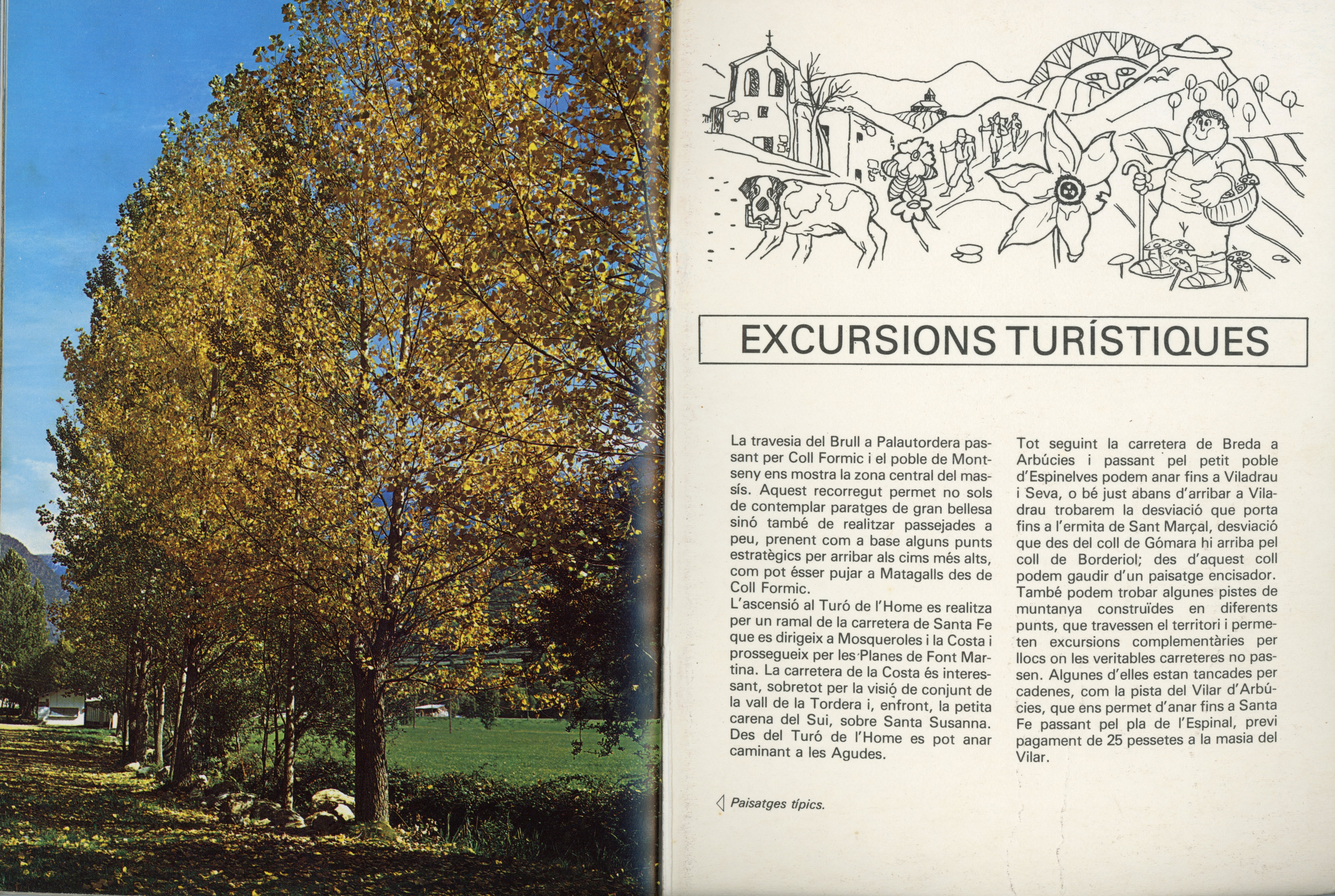 Montseny : 48 fotografies a tot color - Miniatura 3