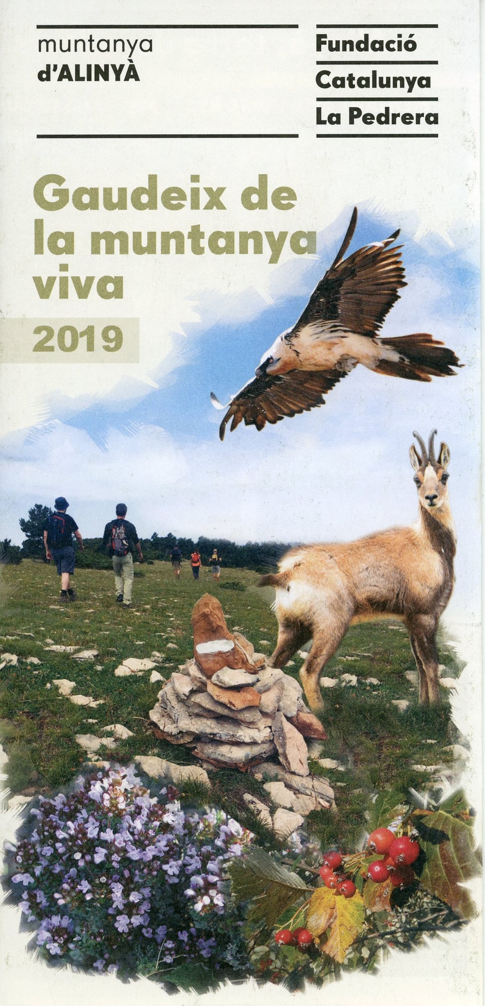 Gaudeix de la muntanya viva 2019 : Mutanya d'Alinyà Fundació Catalunya La Pedrera - Portada
