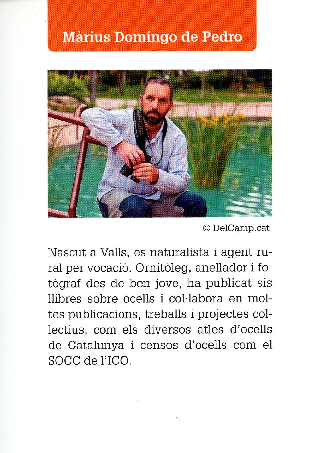 Excursions a peu per les Muntanyes de Prades - Miniatura 4