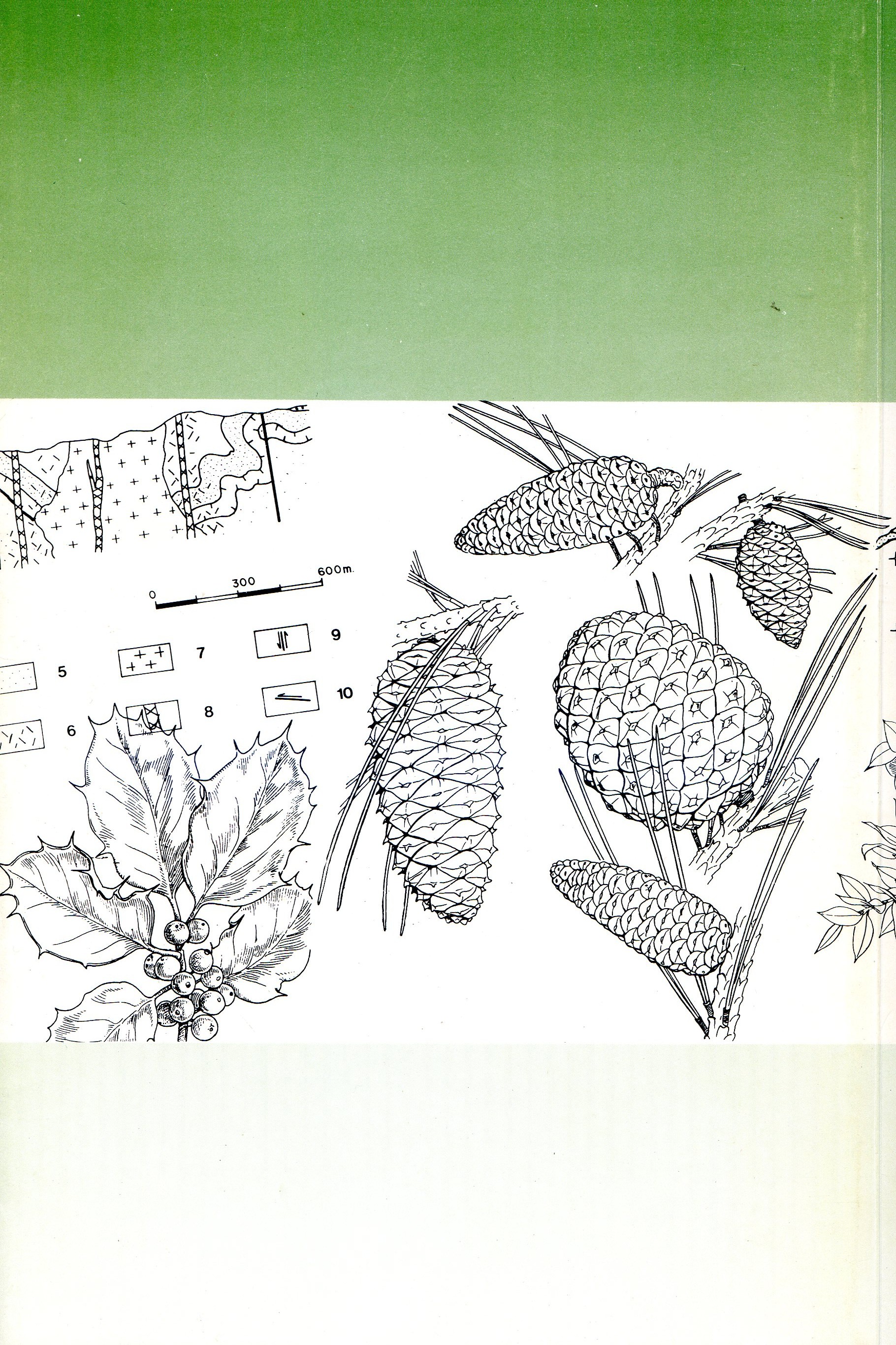 La natura i l'home a les Muntanyes de Prades - Miniatura 2