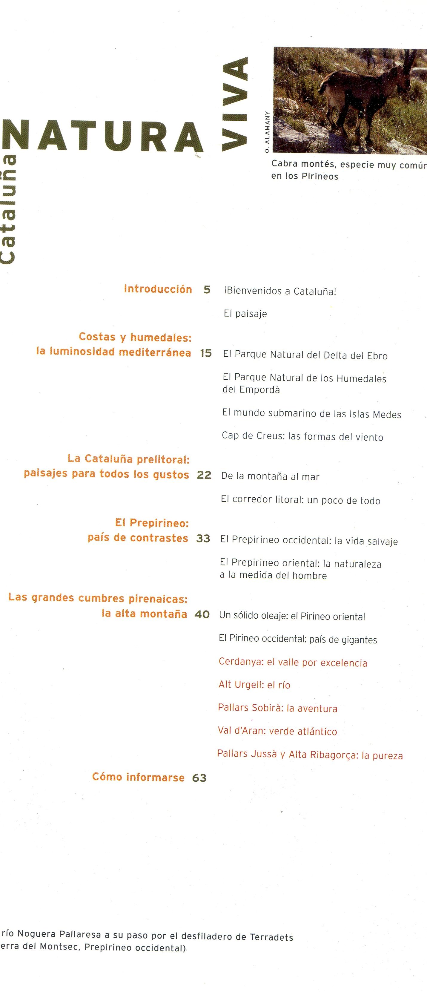 Natura viva - Miniatura 2