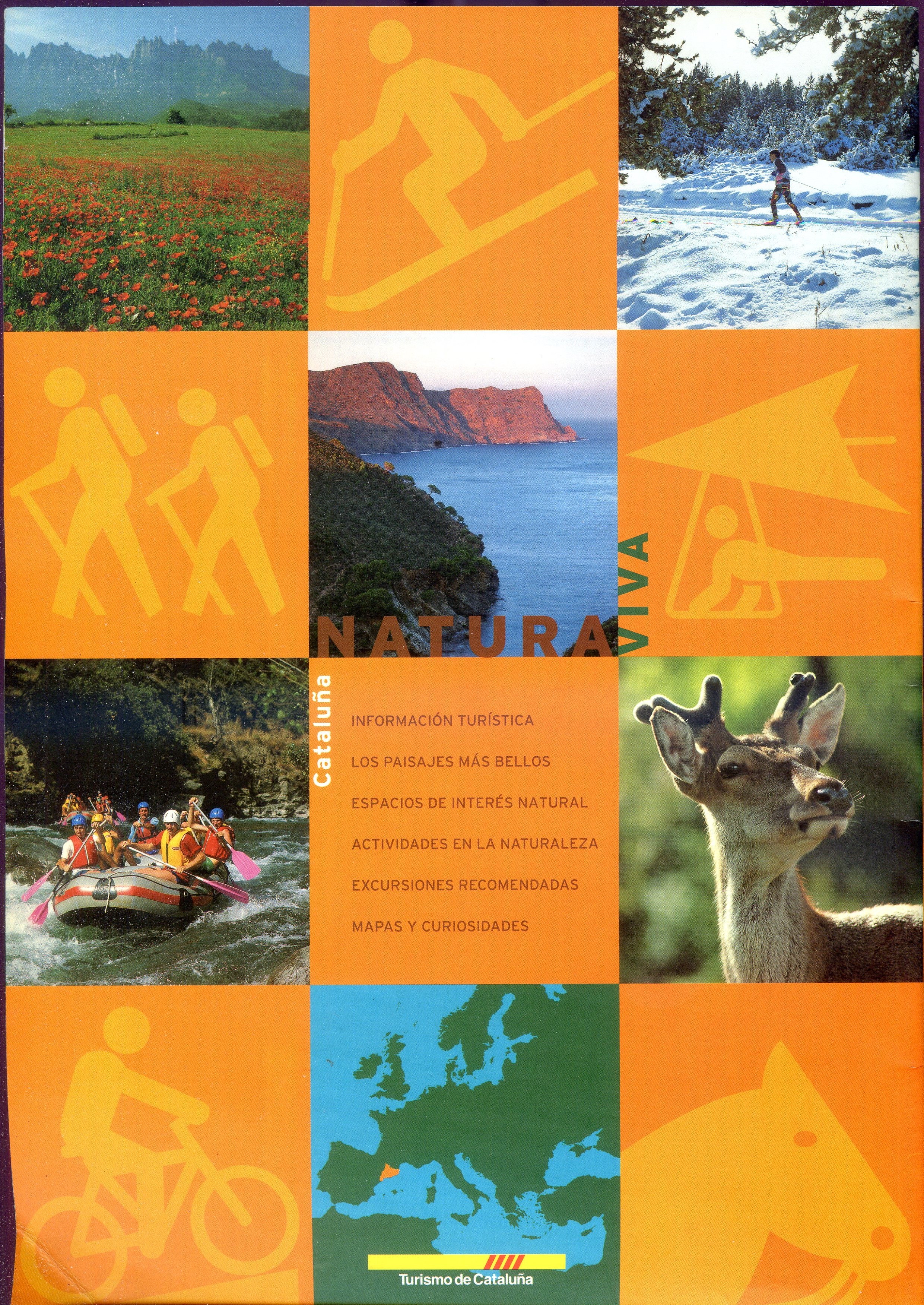 Natura viva - Miniatura 3