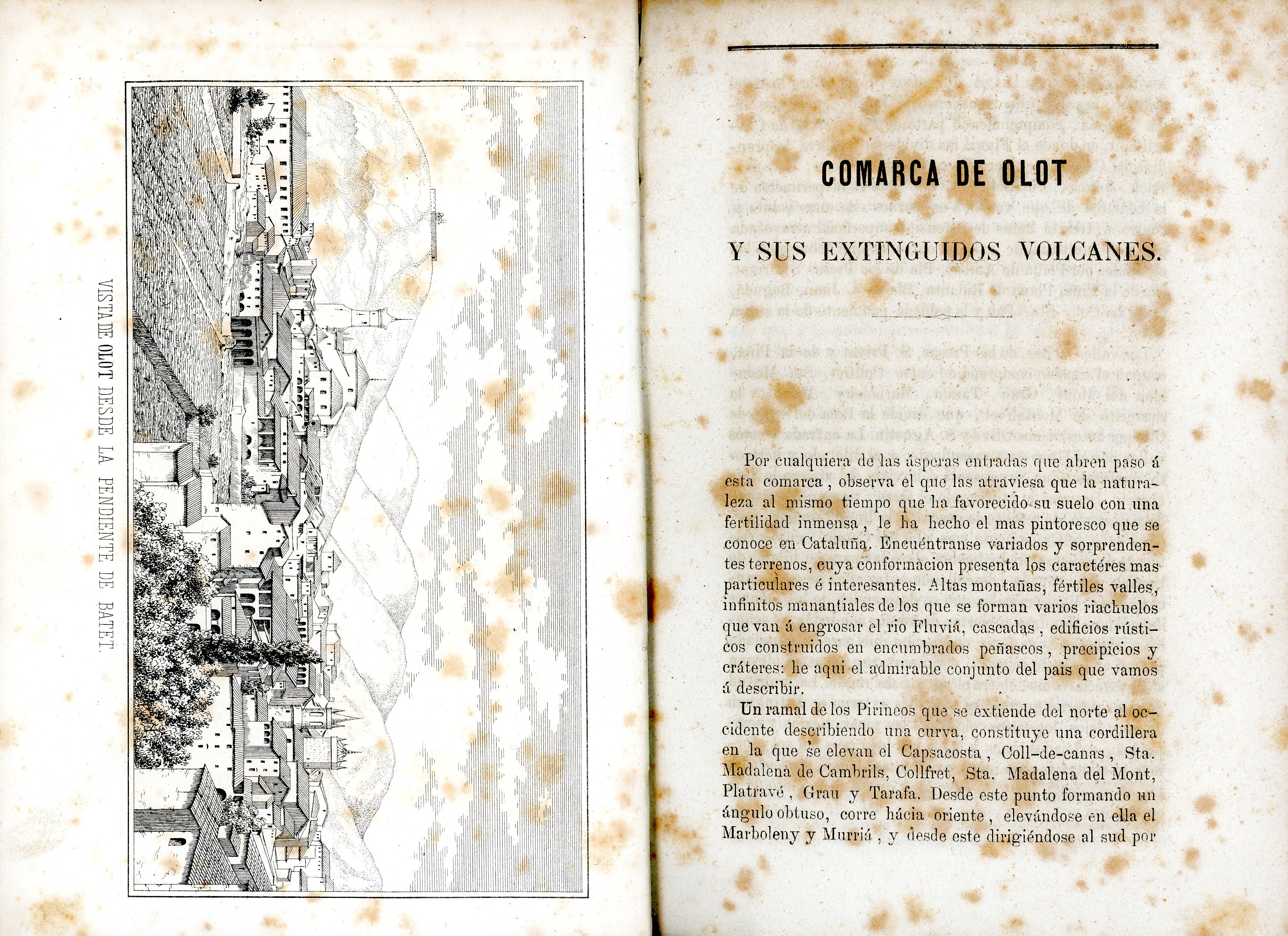 Olot, su comarca, sus extinguidos volcanes, su historia civil, religiosa y local. : Biografias de sus hijos mas notables en letras, armas, etc. - Miniatura 4