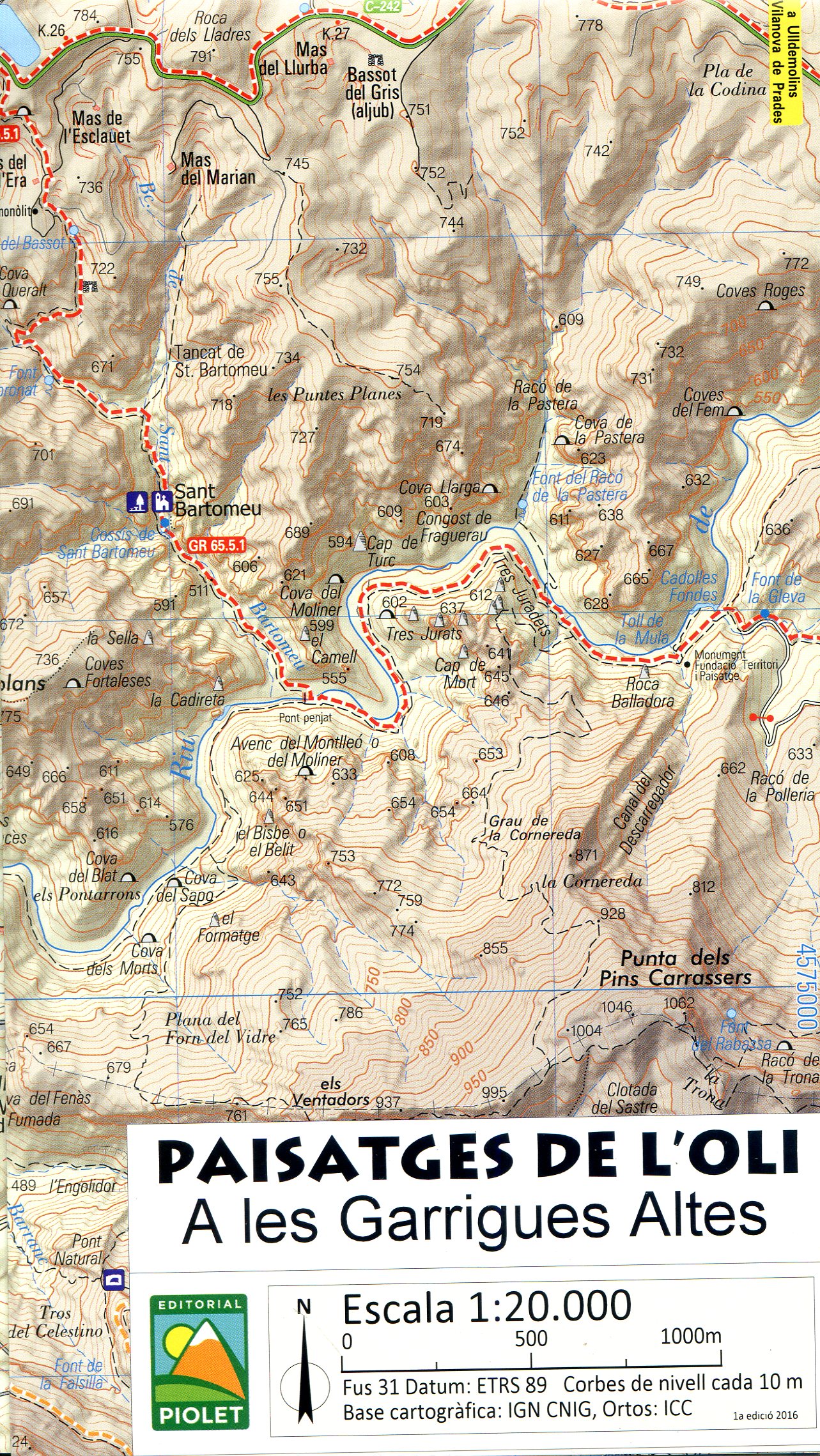 Paisatges de l'oli a les Garrigues Altes - Miniatura 3