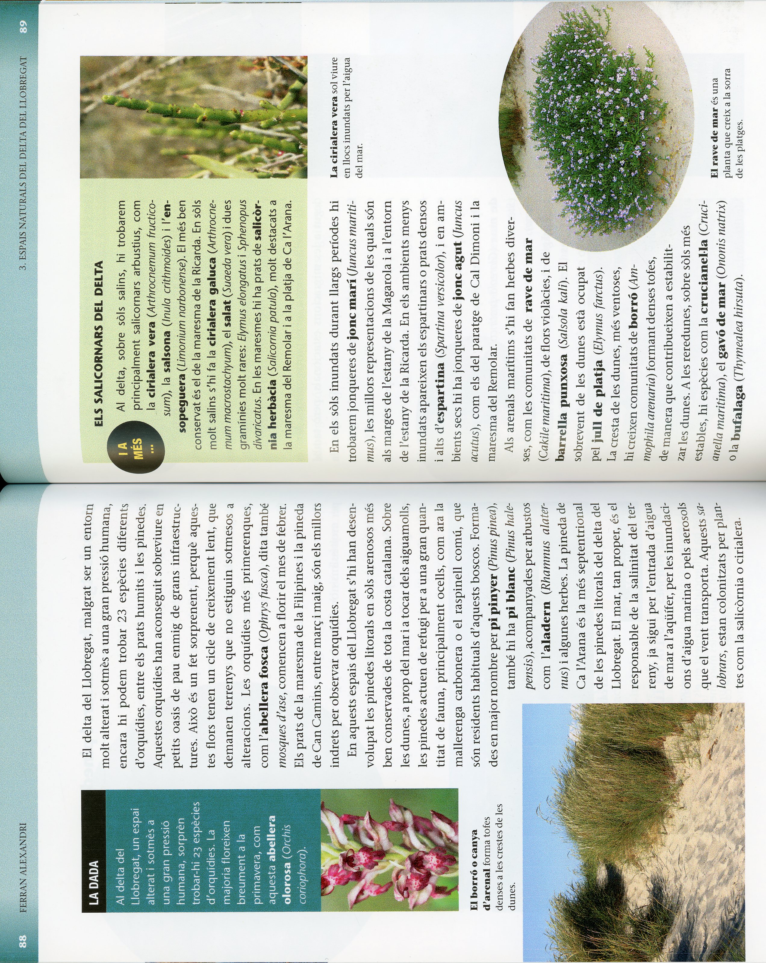 Parcs de mar de Catalunya II : De la serralada de Marina al delta de l'Ebre - Miniatura 3