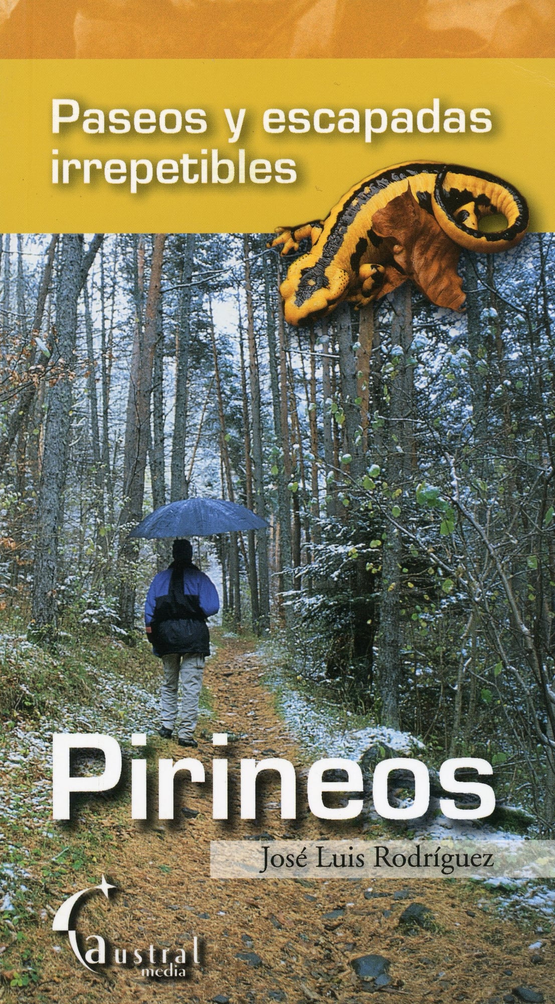 Paseos y escapadas irrepetibles por los Pirineos - Portada
