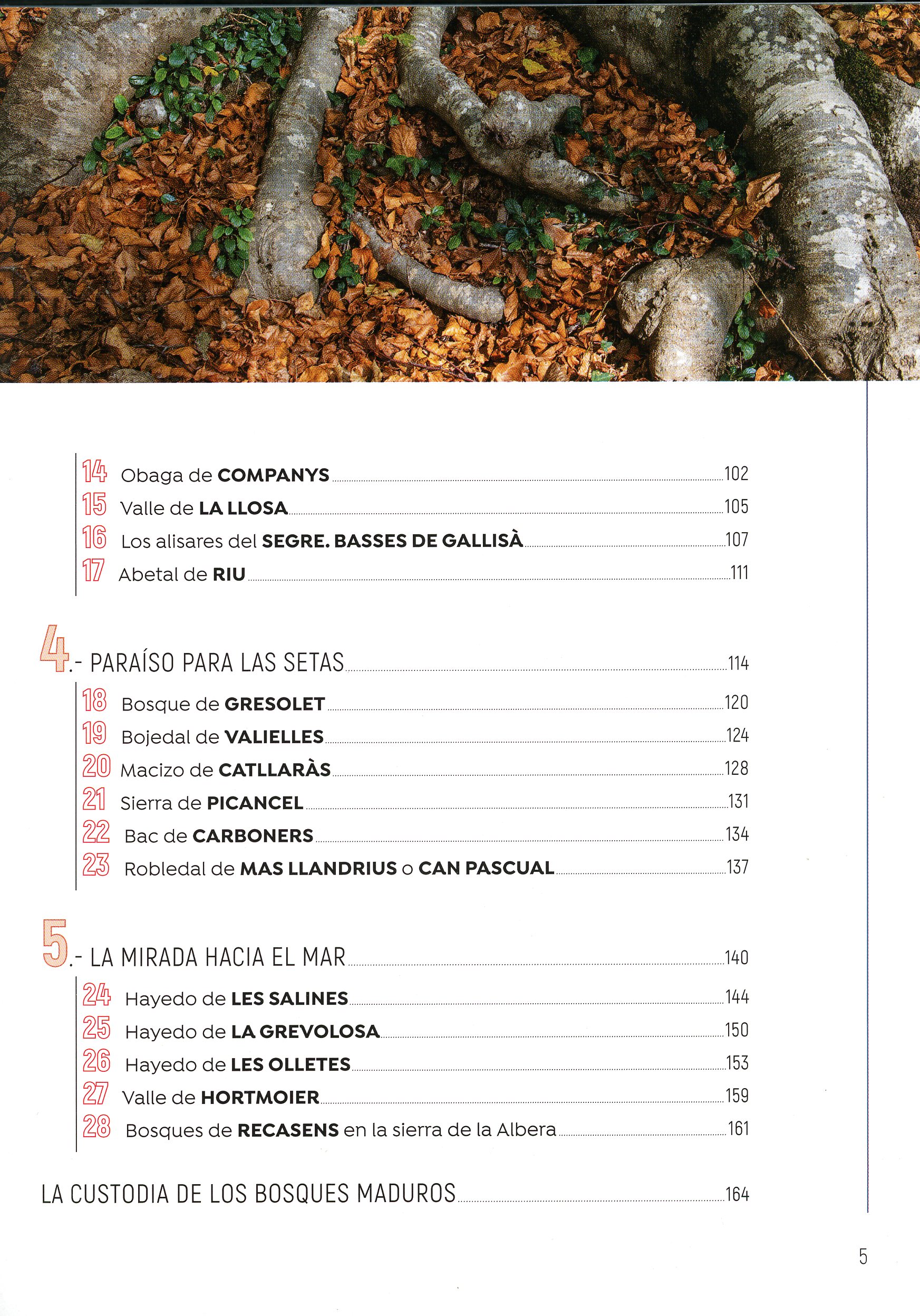 Paseos y rutas por bosques : [III] Pirineo oriental - Miniatura 3