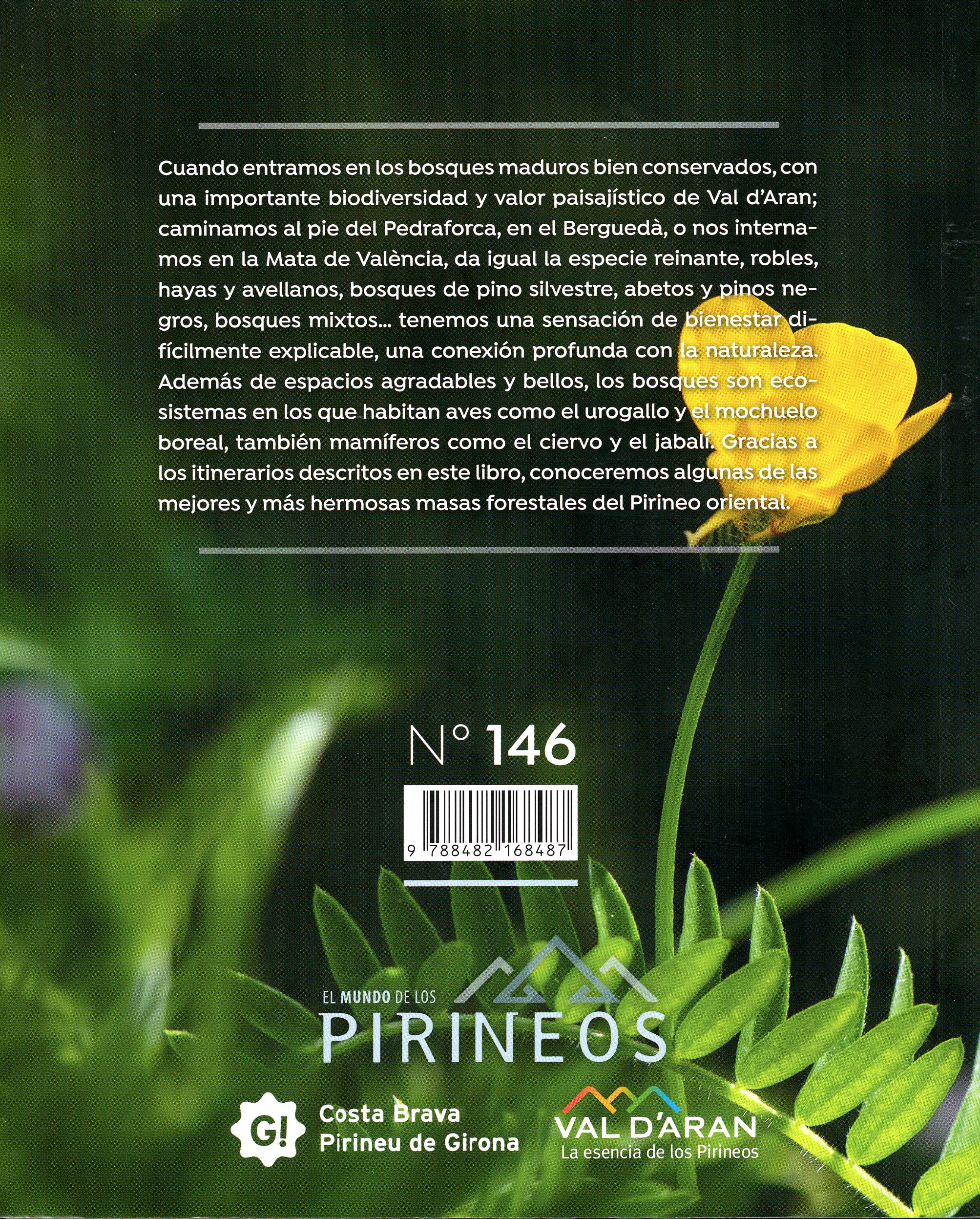 Paseos y rutas por bosques : [III] Pirineo oriental - Miniatura 4