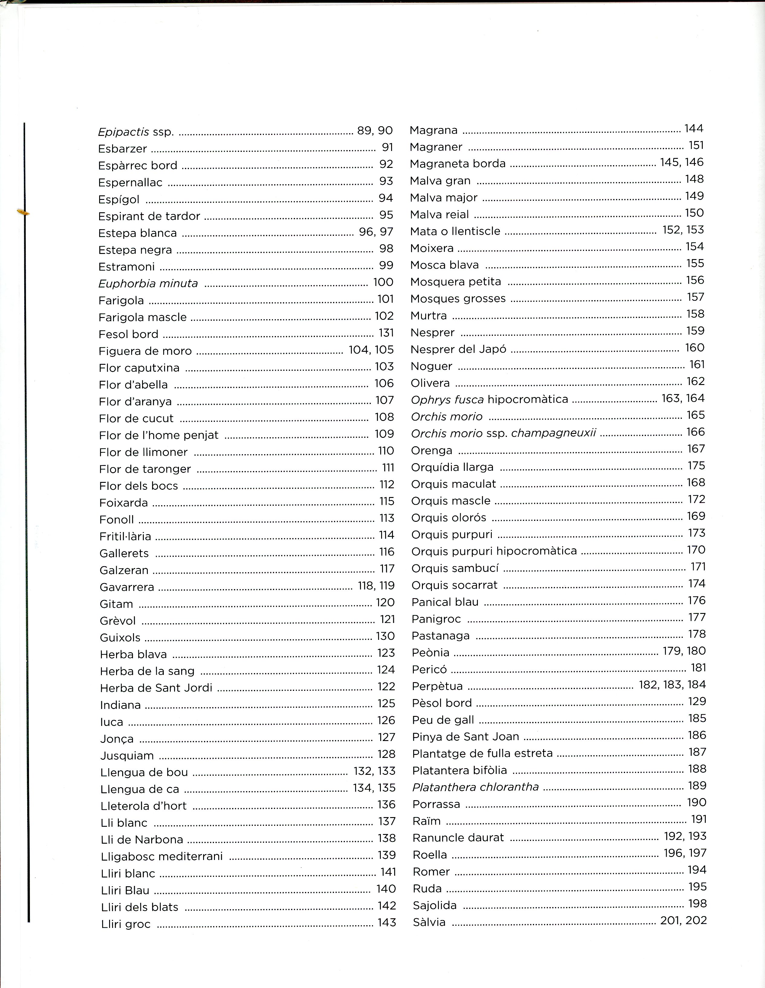 Petit Monsant : Flors i fruits - Miniatura 3
