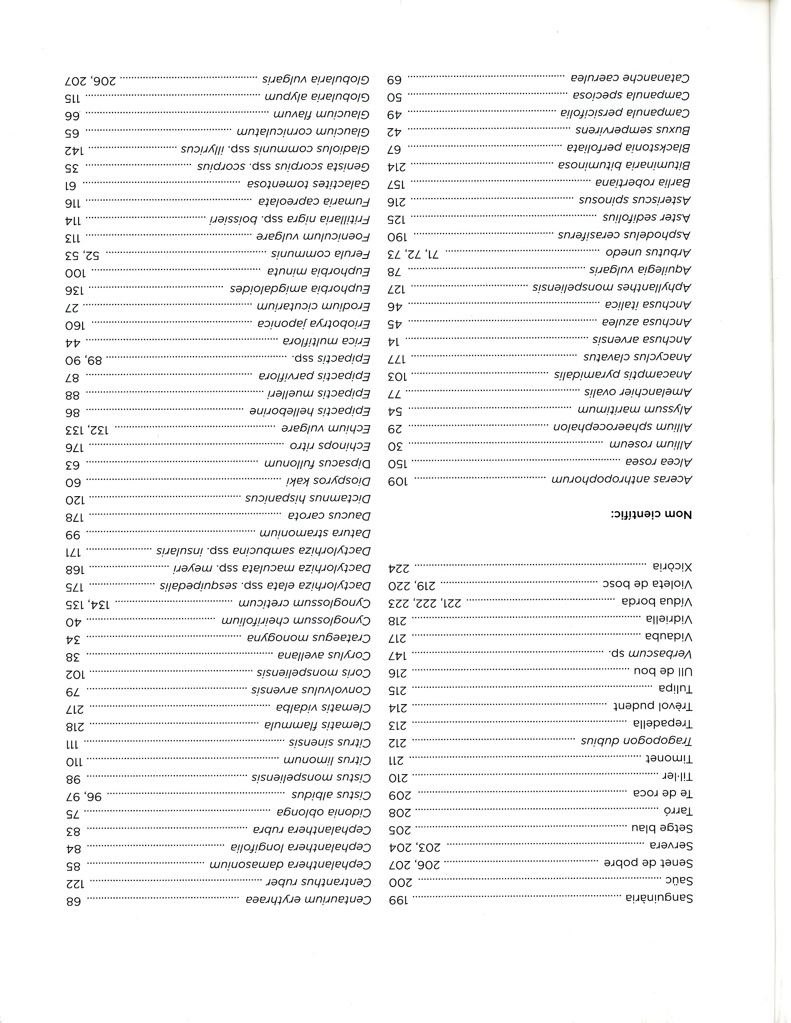 Petit Monsant : Flors i fruits - Miniatura 4