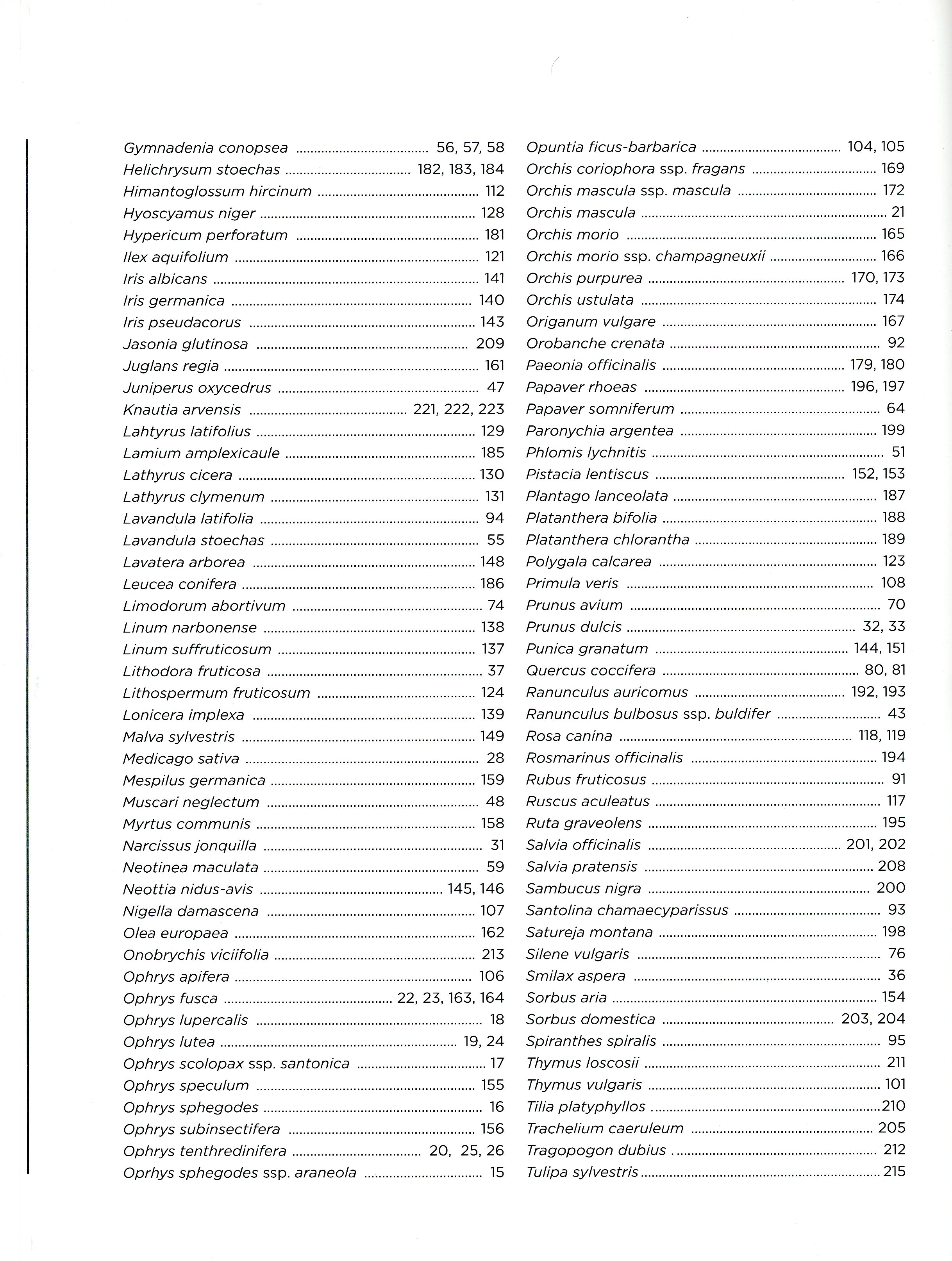 Petit Monsant : Flors i fruits - Miniatura 5