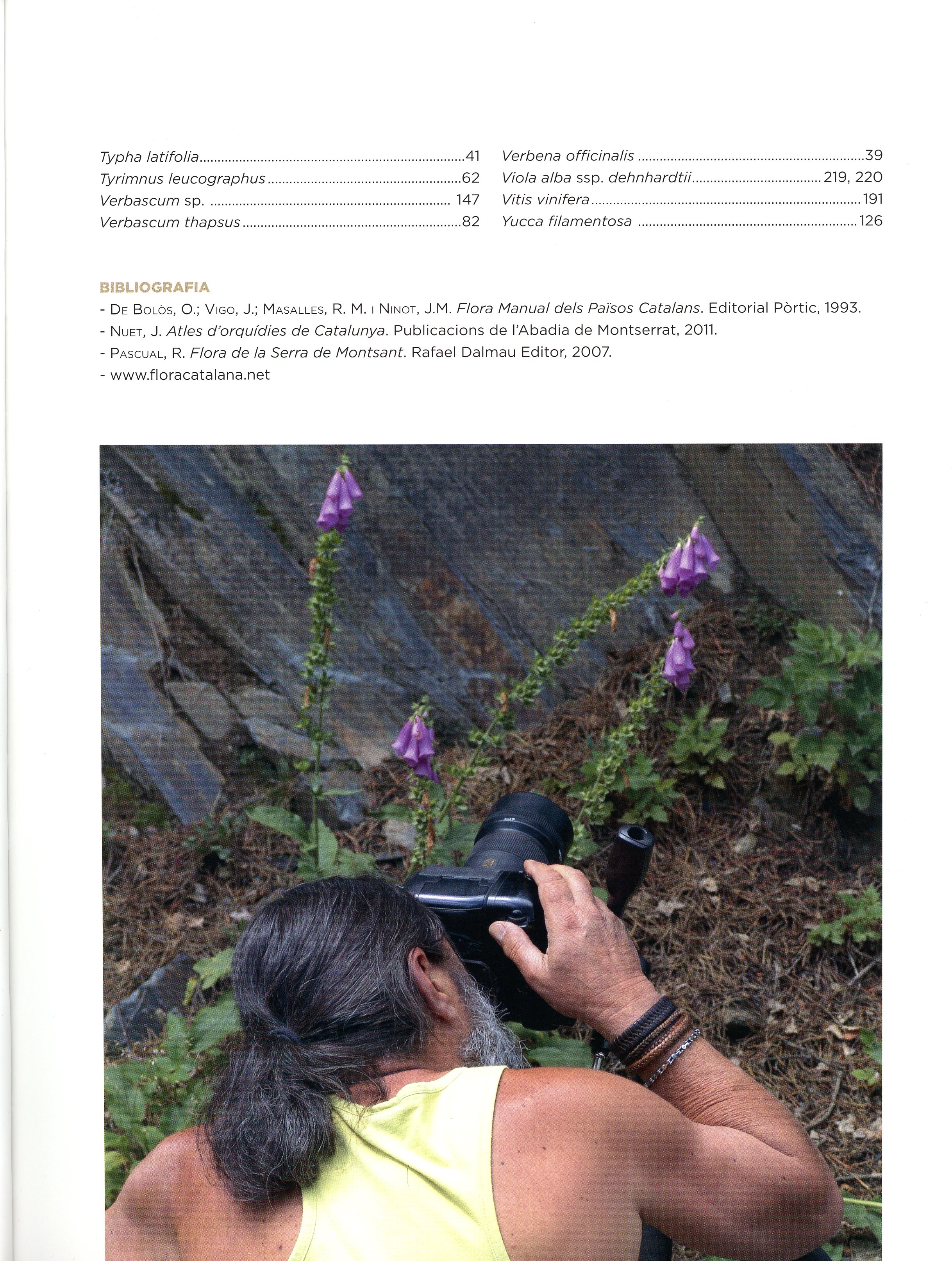 Petit Monsant : Flors i fruits - Miniatura 6