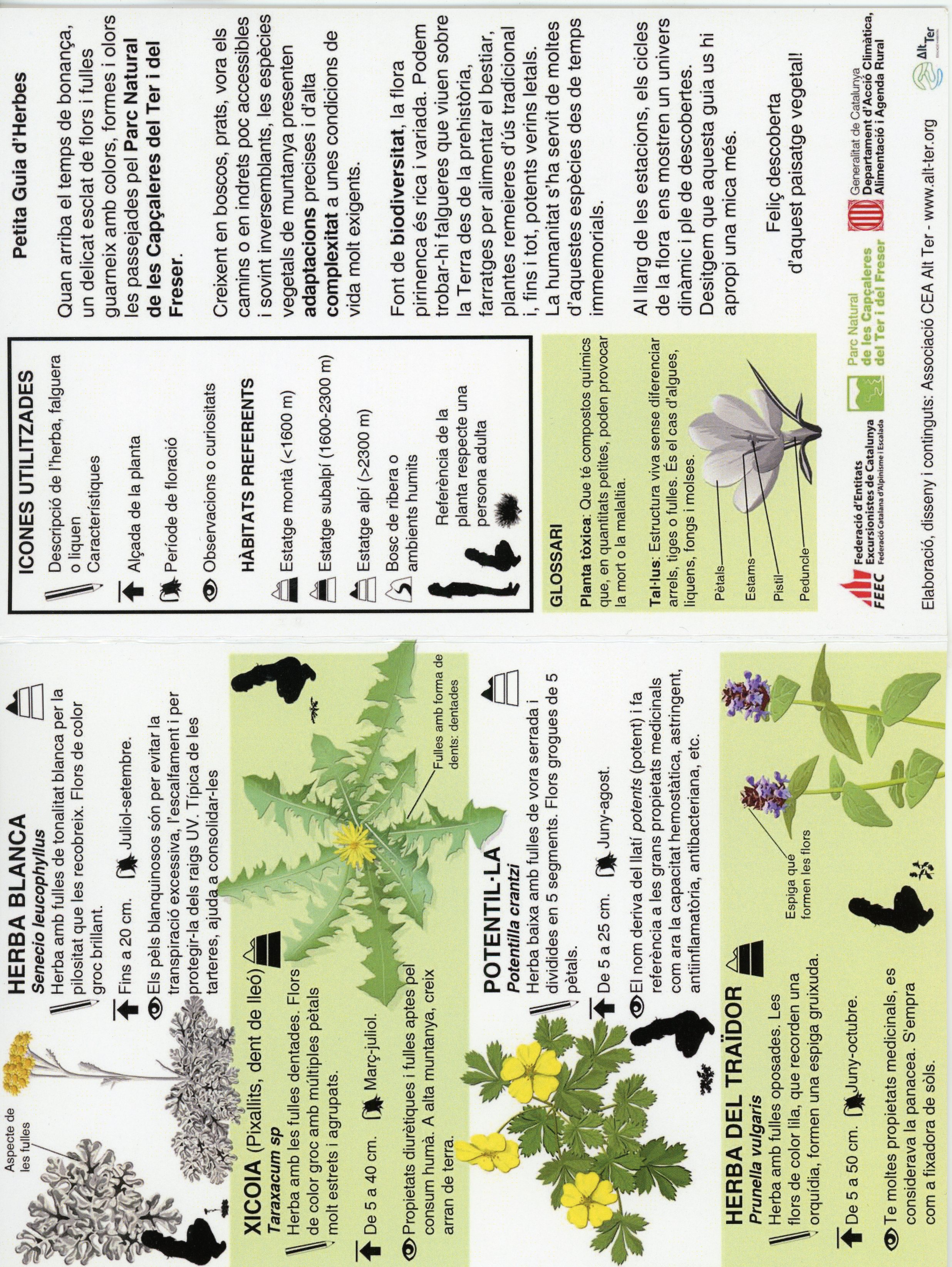 Petita Guia d'Herbes (i líquens i falgueres) del Parc Natural de les Capçaleres del Ter i del Freser) - Miniatura 3
