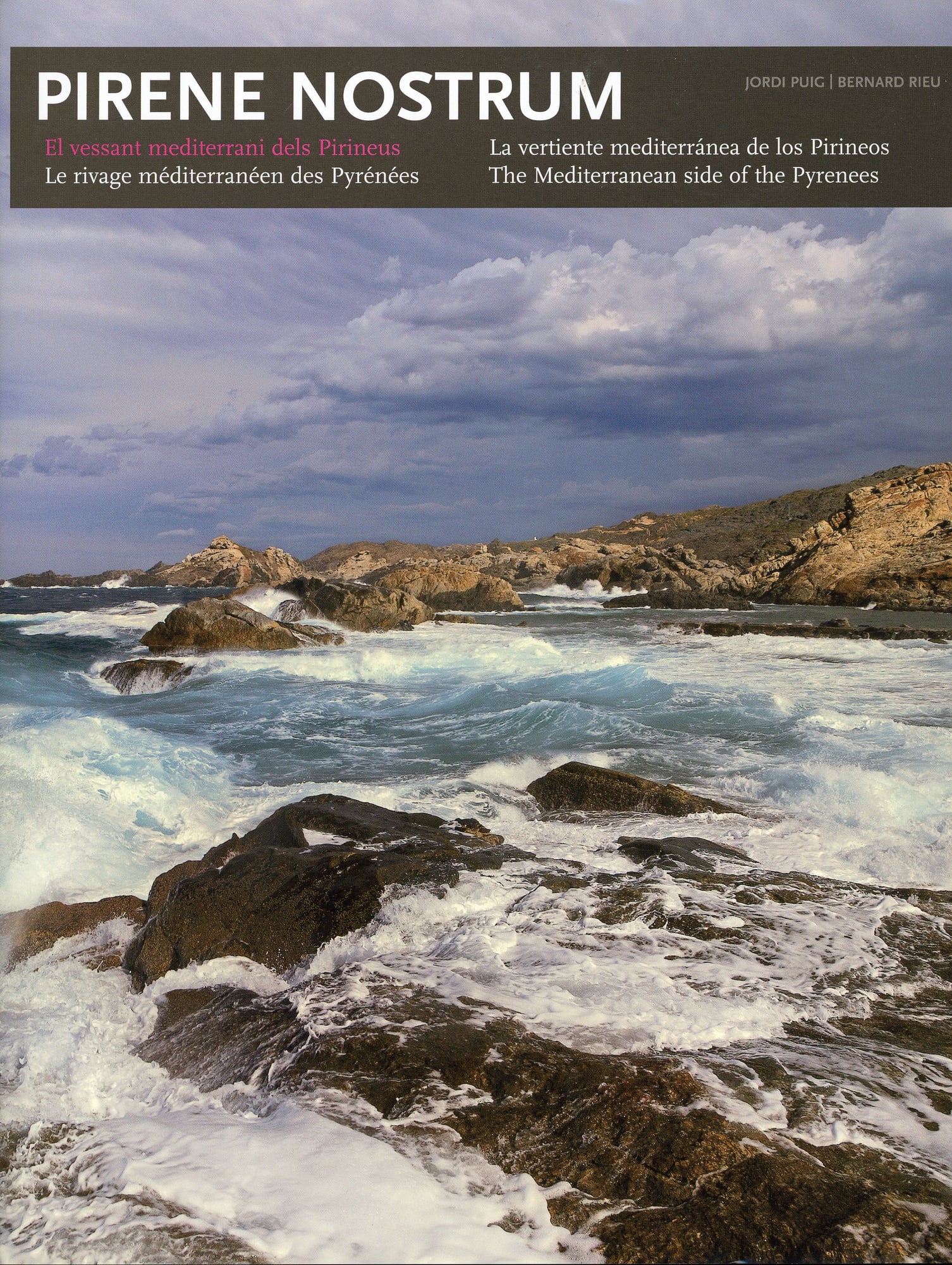 Pirene nostrum : el vessant mediterrani dels pirineus - Portada