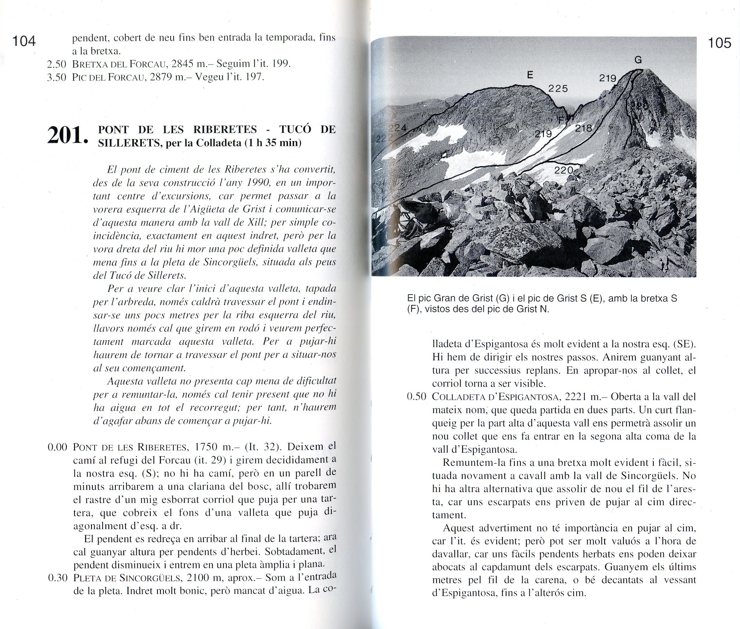 Posets - Perdiguero : 2 Vaticielles, Posets i Grist - Miniatura 2