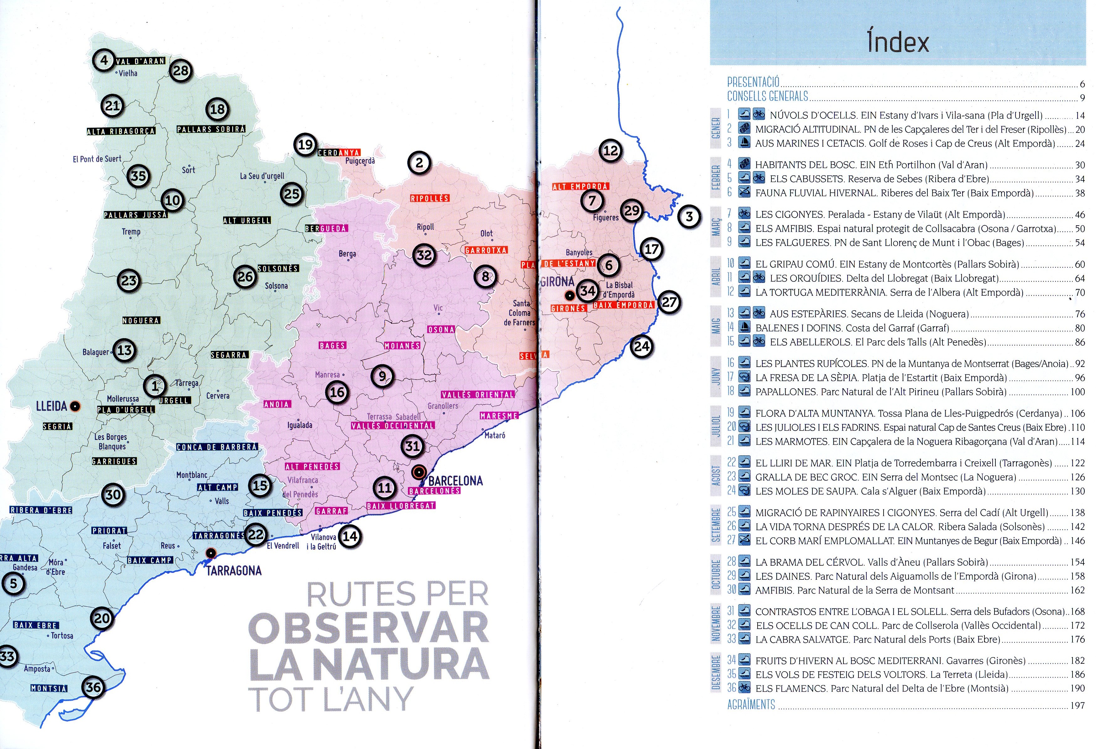Rutes per observar la natura tot l'any - Miniatura 2
