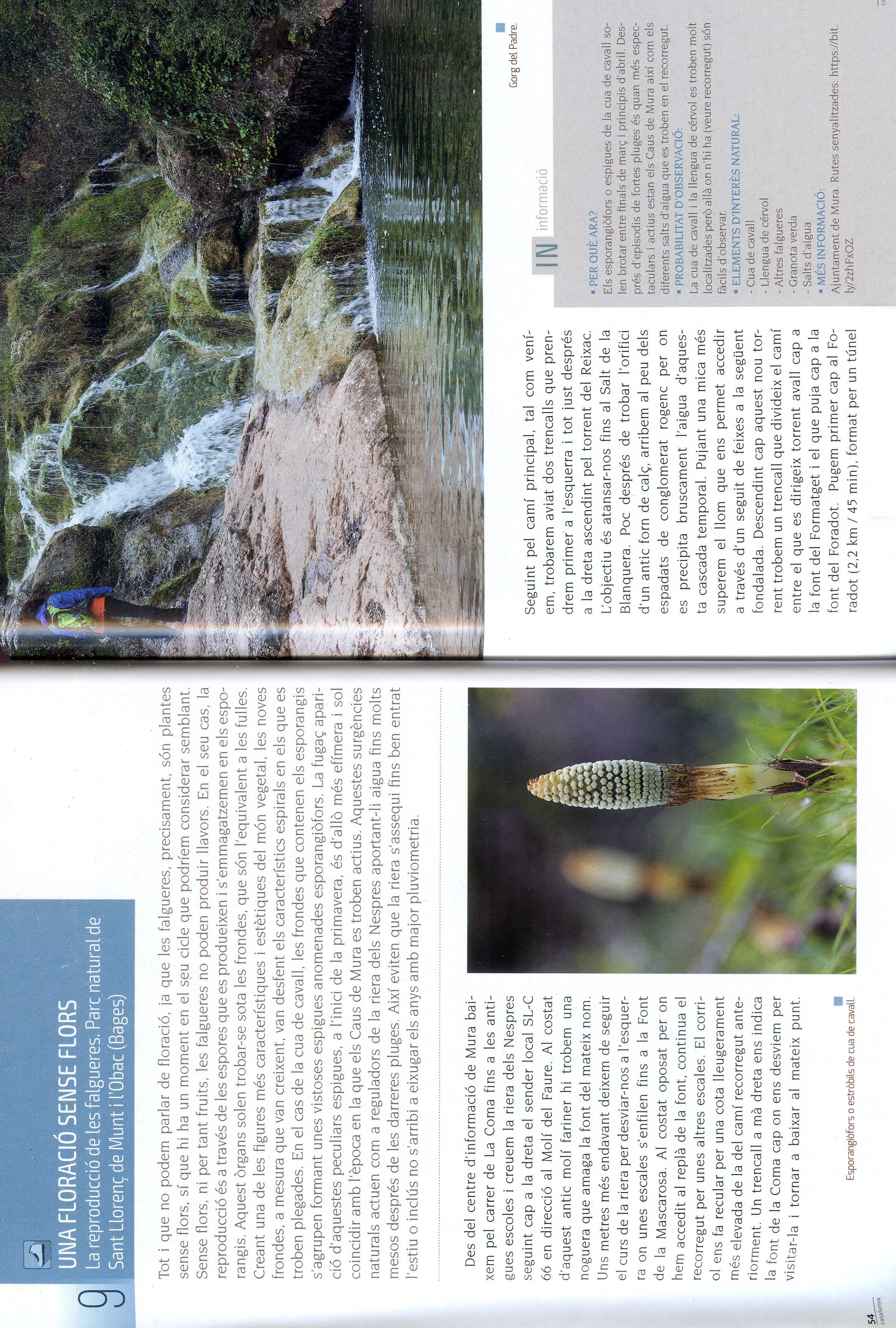 Rutes per observar la natura tot l'any - Miniatura 3