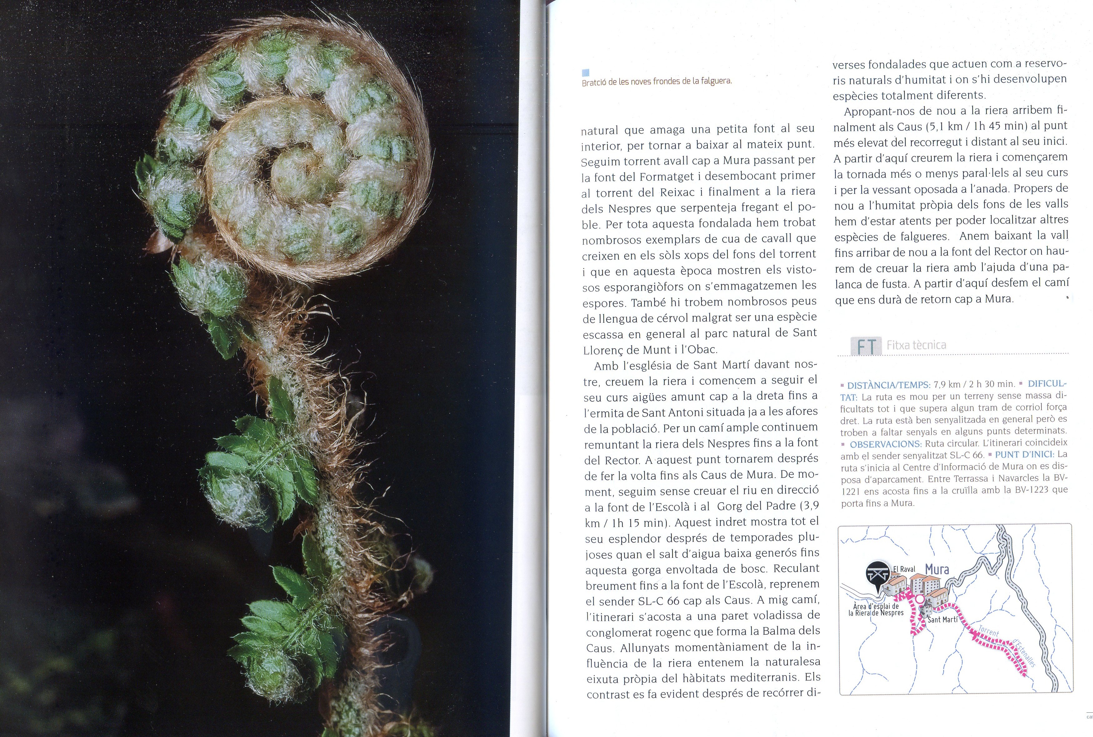 Rutes per observar la natura tot l'any - Miniatura 4