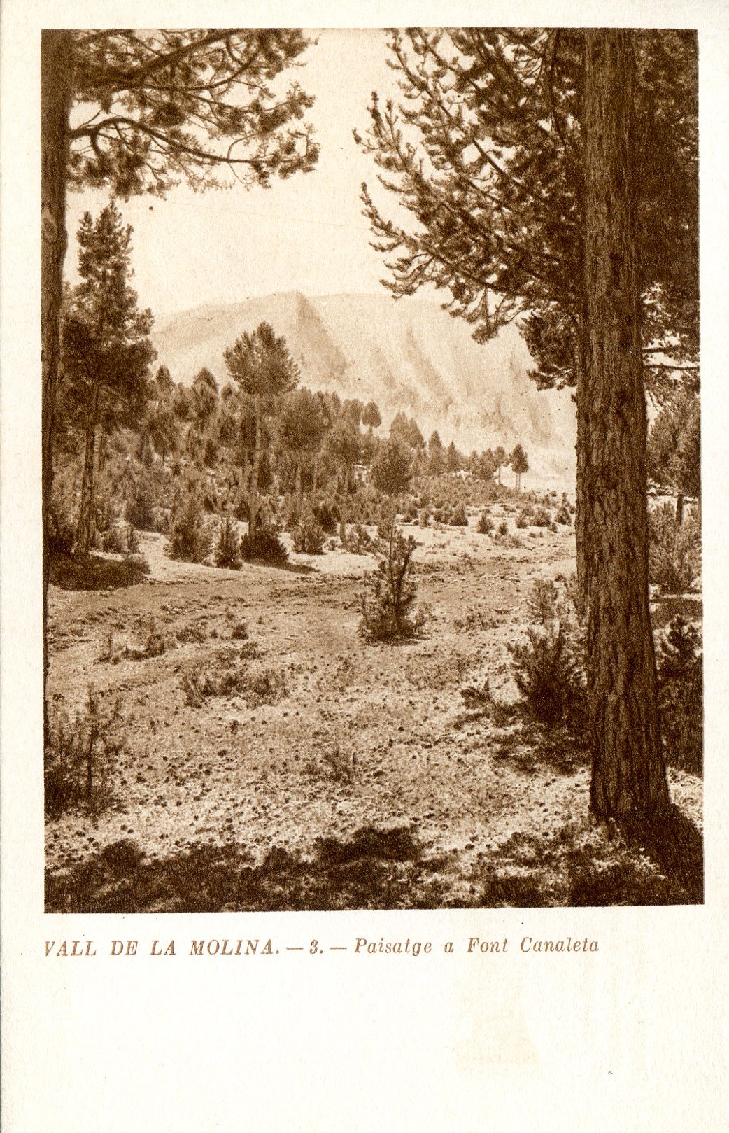 Vall de la Molina : (Estiu - Hivern) : 12 postals - Miniatura 5