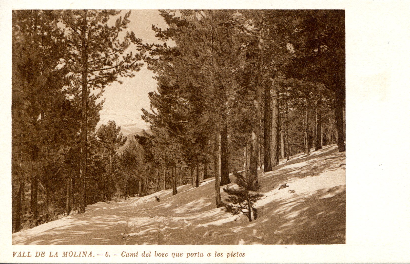 Vall de la Molina : (Estiu - Hivern) : 12 postals - Miniatura 11