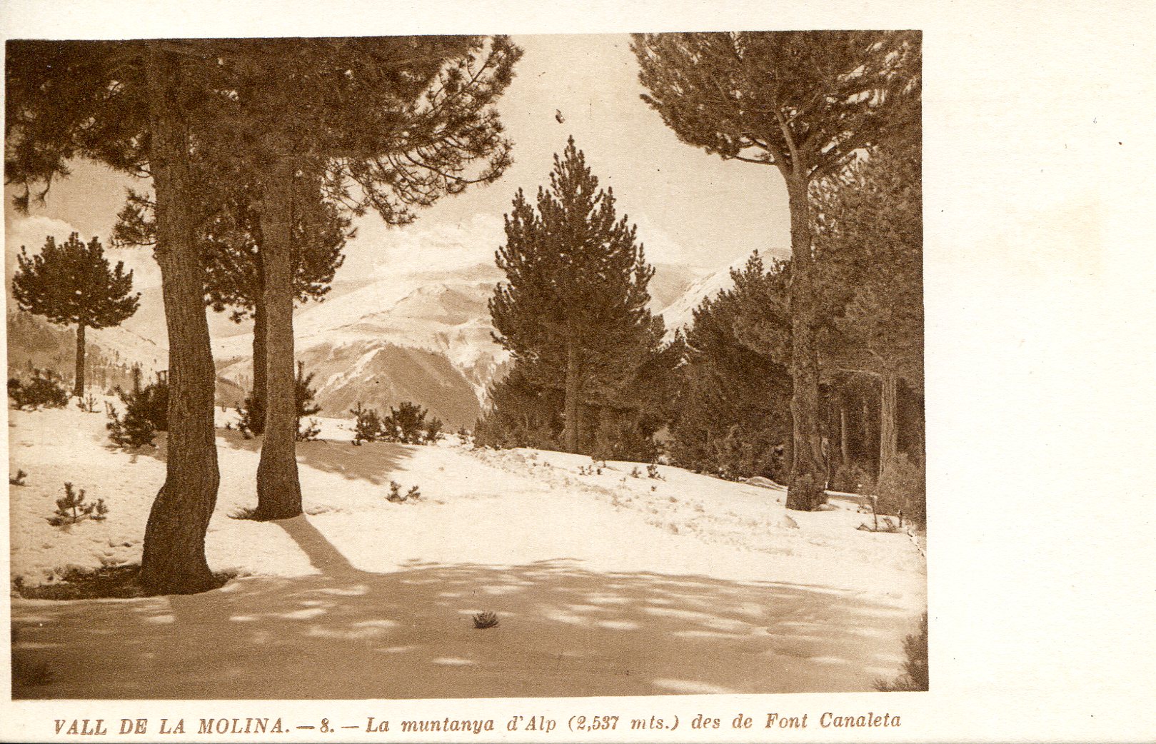 Vall de la Molina : (Estiu - Hivern) : 12 postals - Miniatura 15