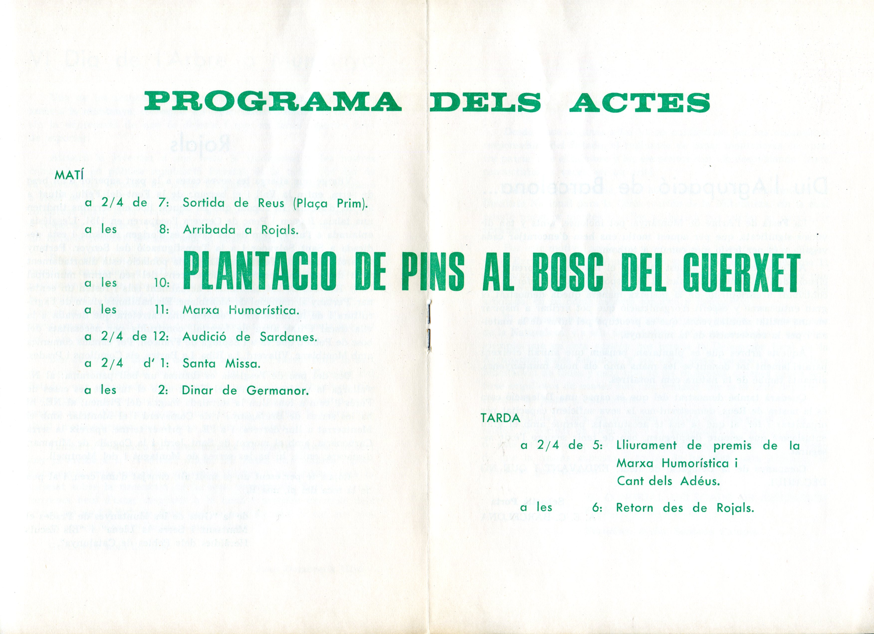 VI Festa de l'Arbre a Muntanya : 11 març 1973 : Bosc del Guerxet (Rojals) - Miniatura 2