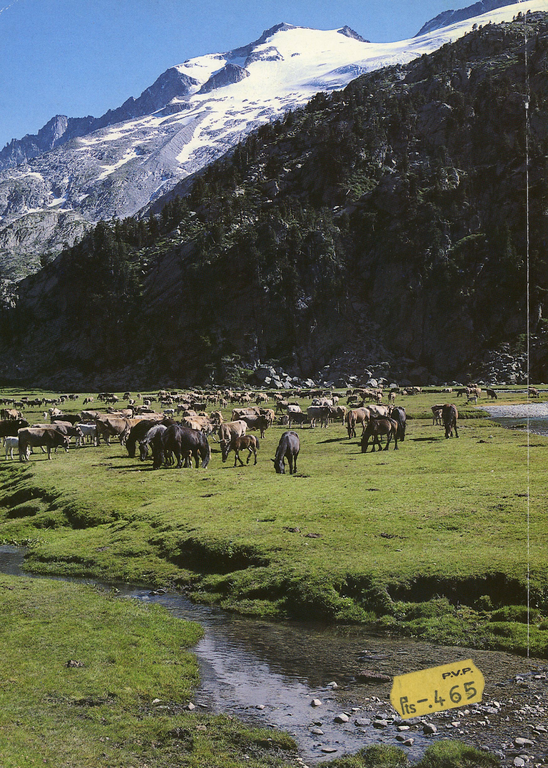 Valle de Benasque - Miniatura 2