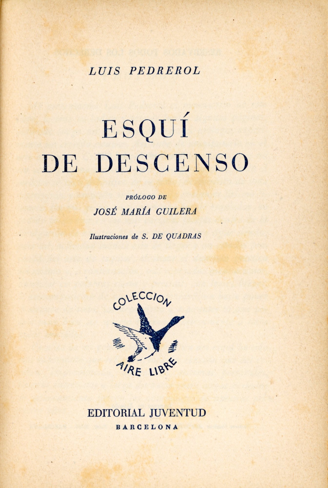 Esquí de descenso - Miniatura 2