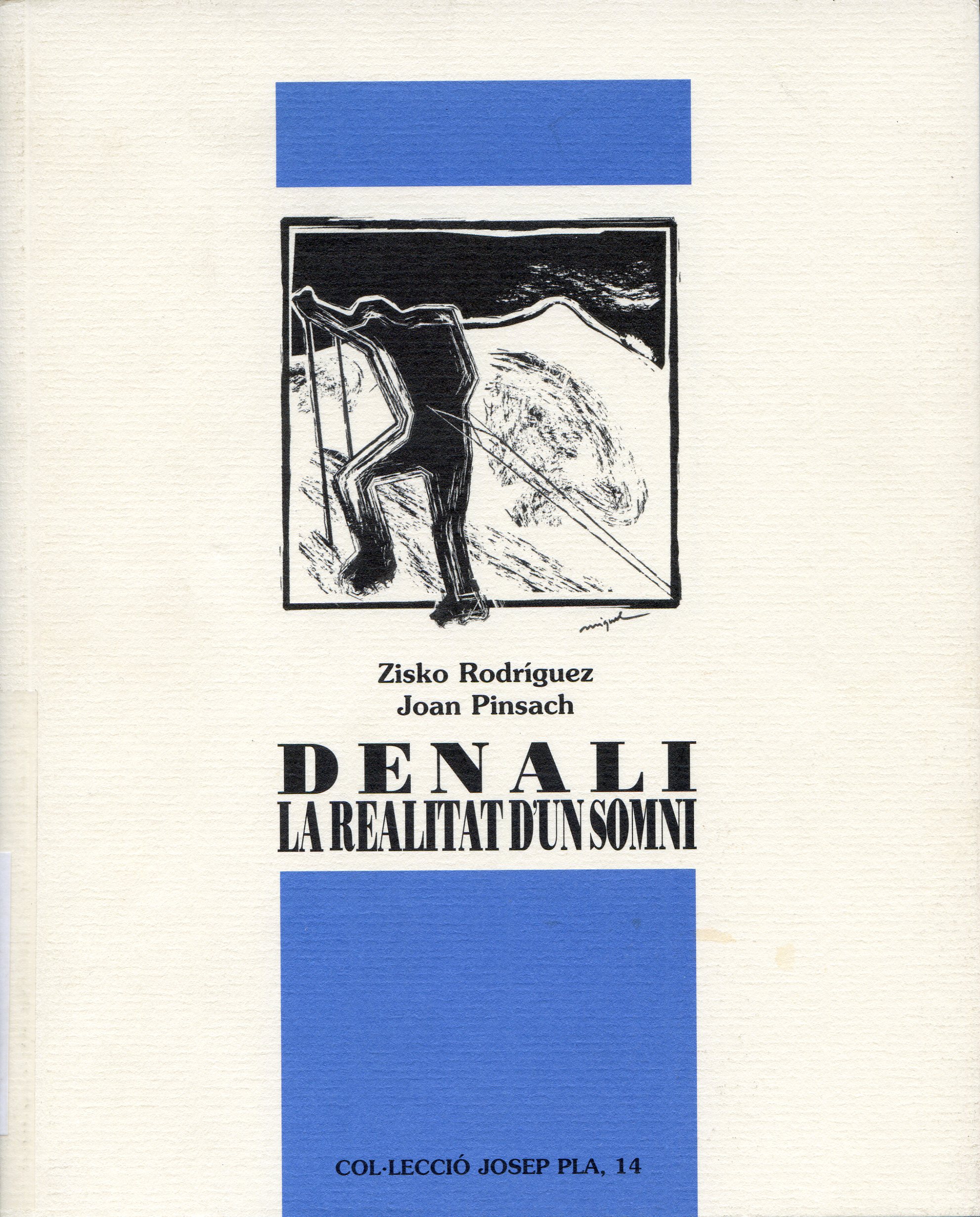 Denali : La realitat d'un somni : Noves experiències i sensacions - Portada