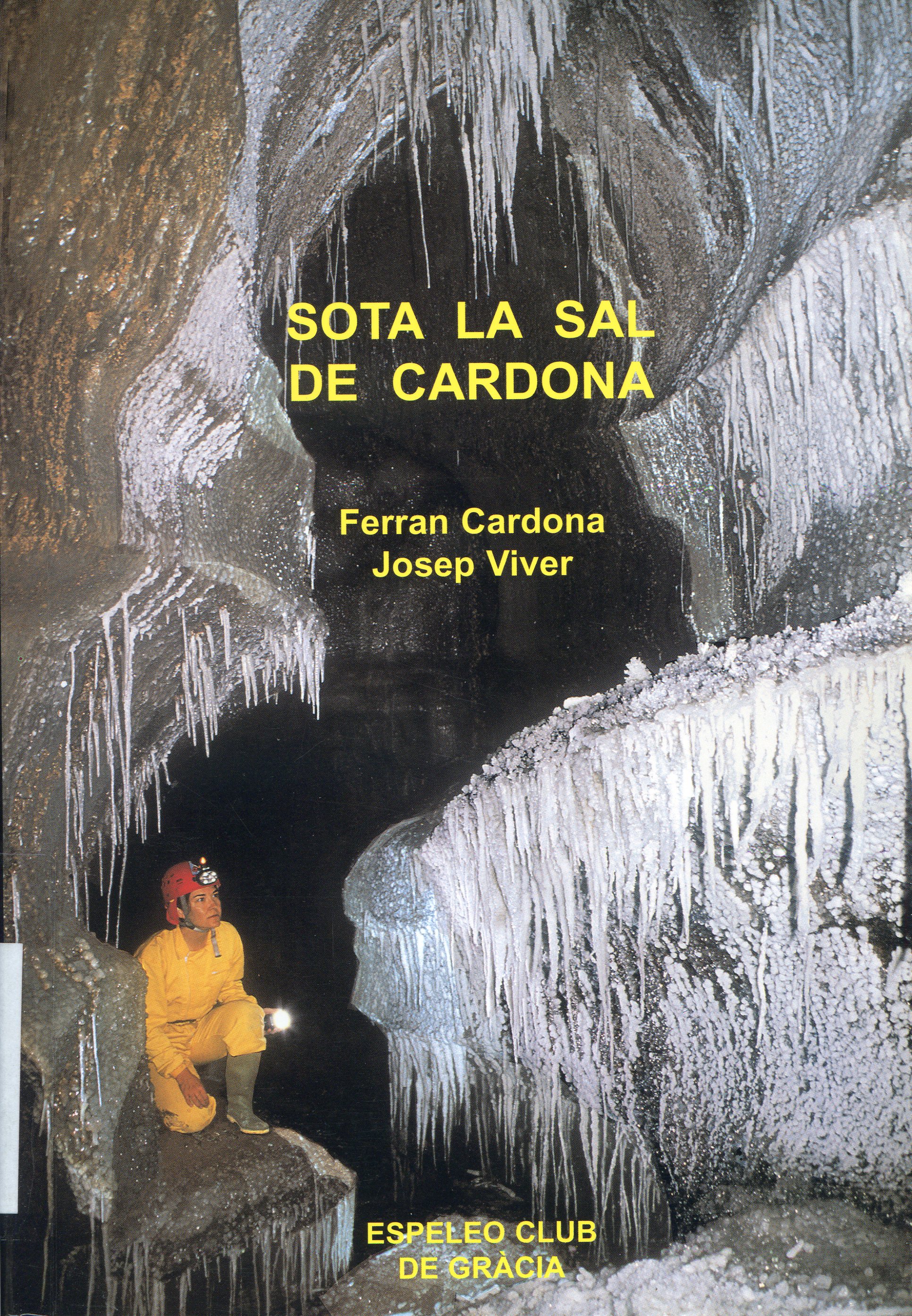 Sota la sal de Cardona - Portada