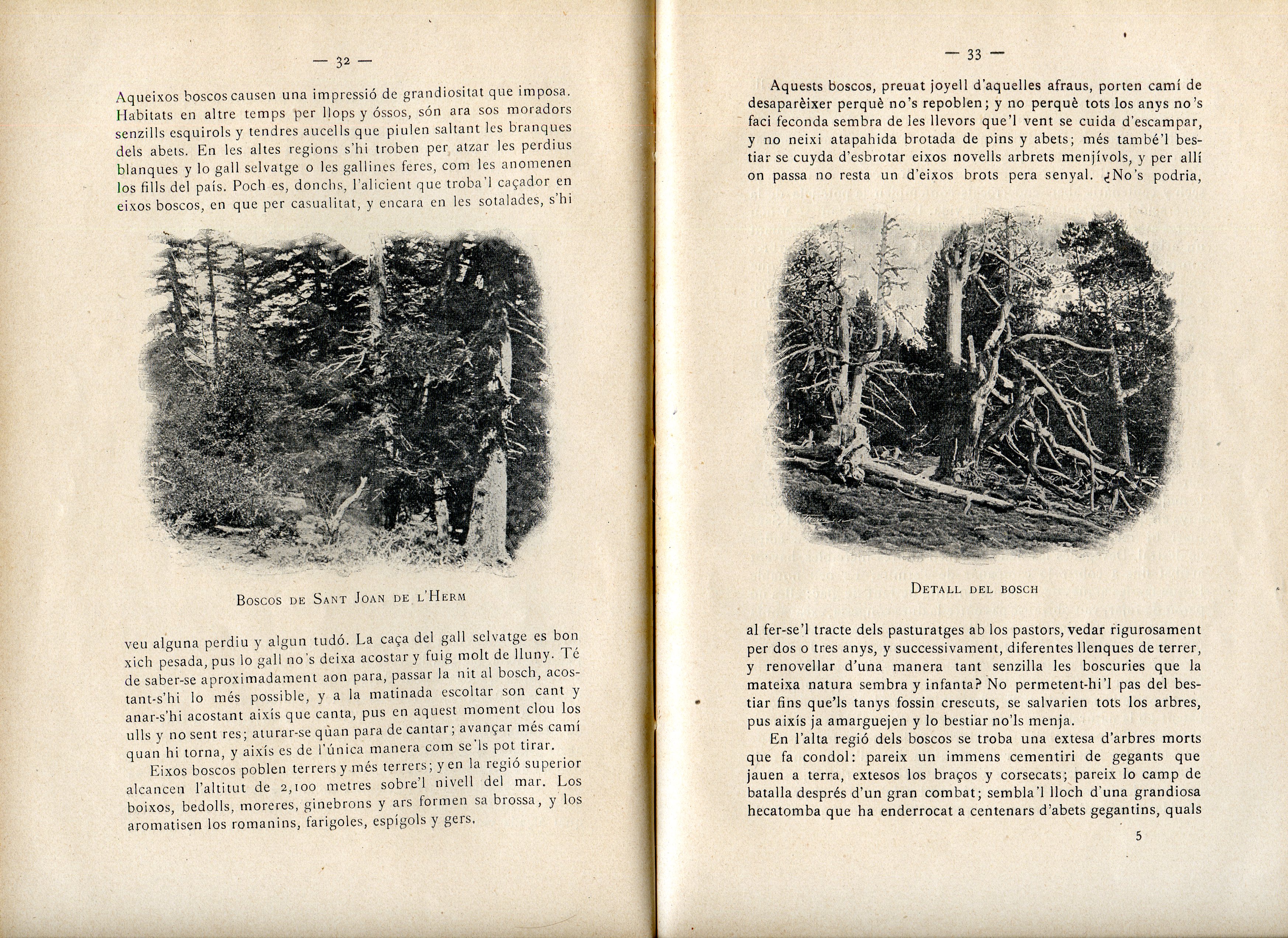 Sant Joan de l'Herm : Estudi del santuari y de l'encontrada - Miniatura 2